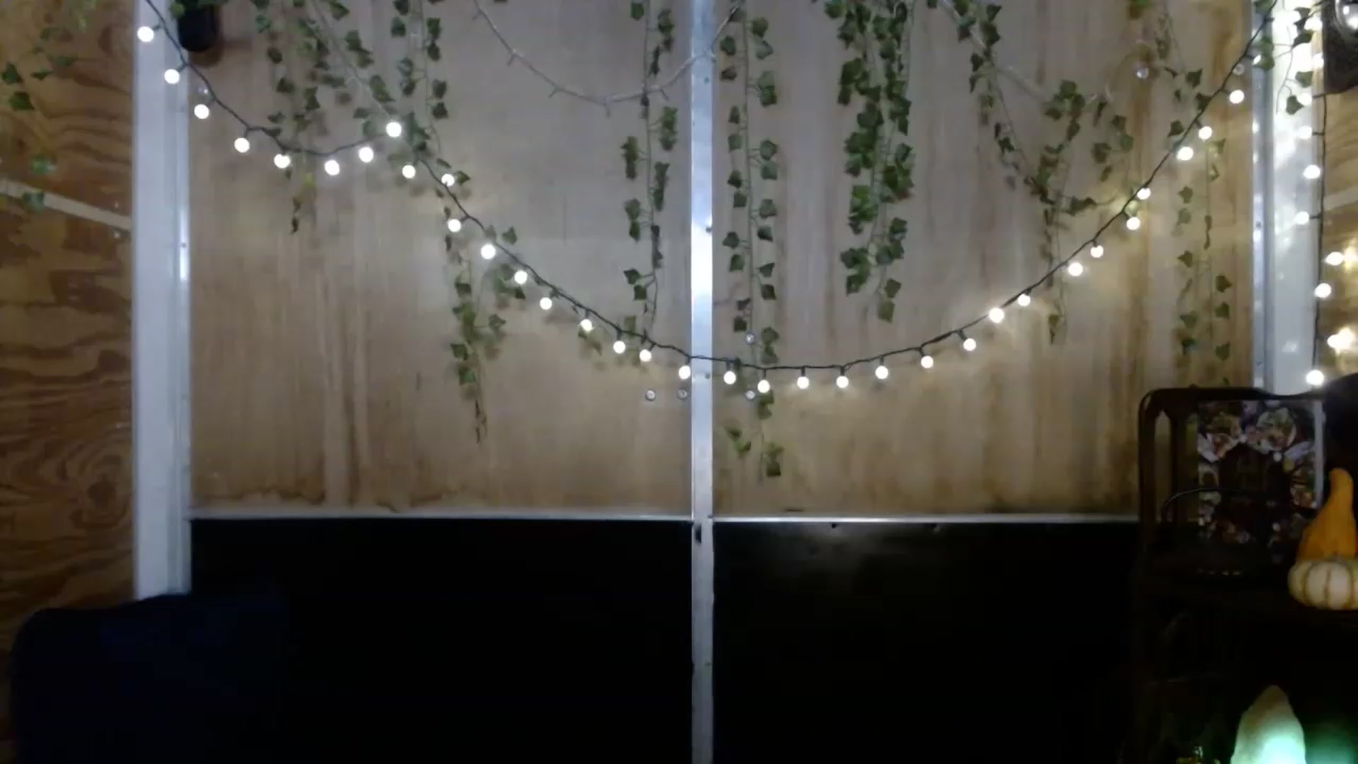 Gallery image thumbnail from slothyfoxy's myfreecams stream on, 11/24/2022, 03:28 image 3 of 20