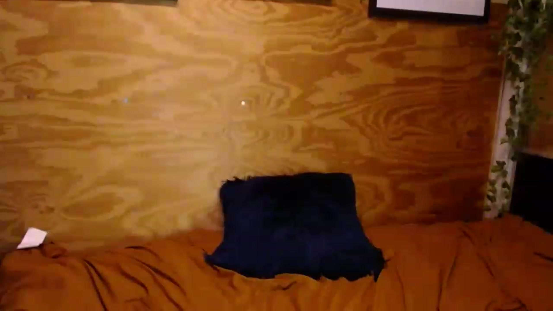Gallery image thumbnail from slothyfoxy's myfreecams stream on, 12/11/2022, 03:32 image 6 of 20