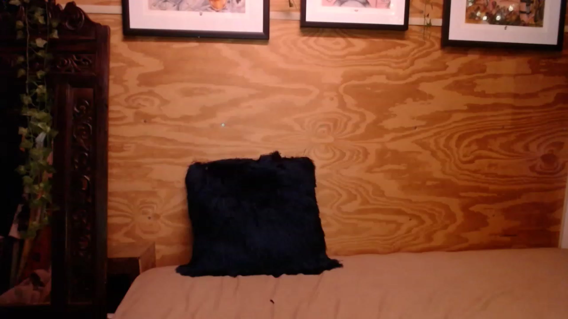 Gallery image thumbnail from slothyfoxy's myfreecams stream on, 12/20/2022, 24:42 image 1 of 20
