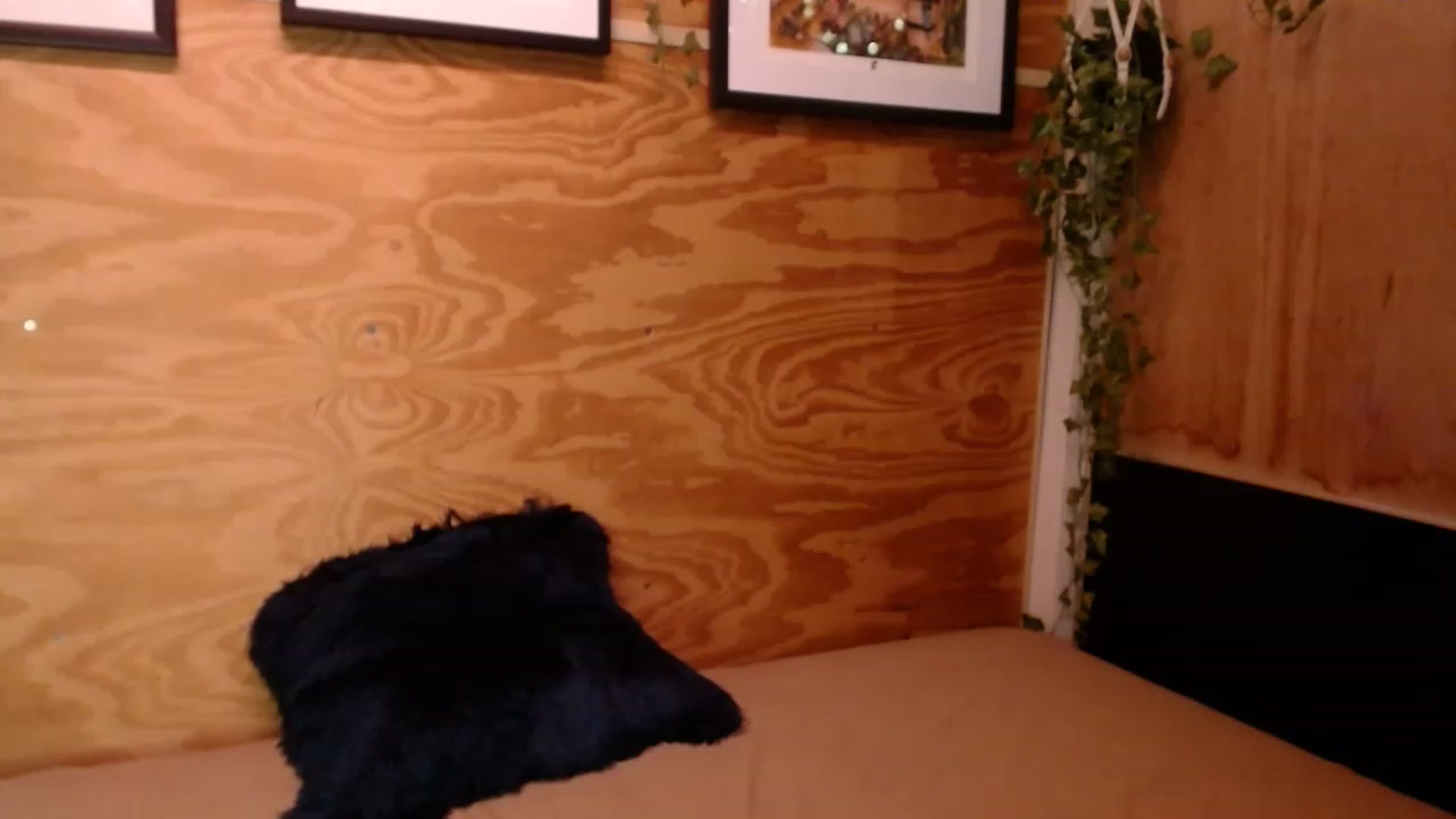 Gallery image thumbnail from slothyfoxy's myfreecams stream on, 12/21/2022, 04:52 image 3 of 20
