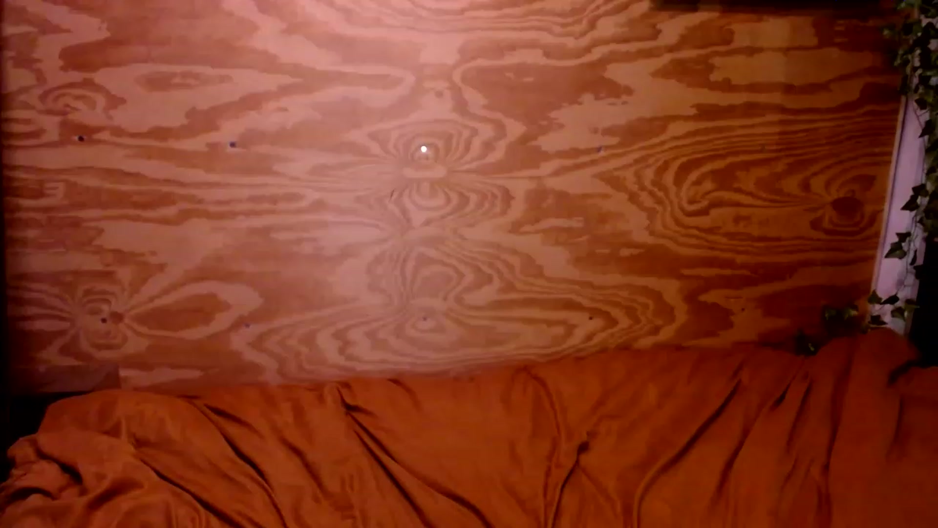 Gallery image thumbnail from slothyfoxy's myfreecams stream on, 01/16/2023, 02:31 image 14 of 20