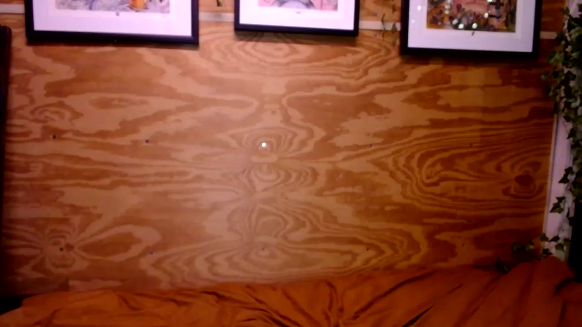 Gallery image thumbnail from slothyfoxy's myfreecams stream on, 01/16/2023, 02:31 image 15 of 20