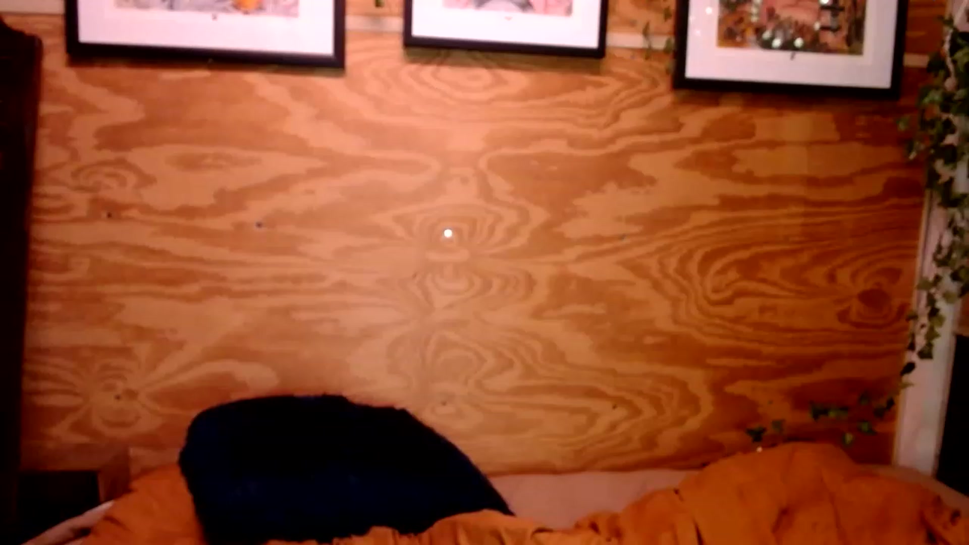Gallery image thumbnail from slothyfoxy's myfreecams stream on, 01/16/2023, 04:11 image 20 of 20