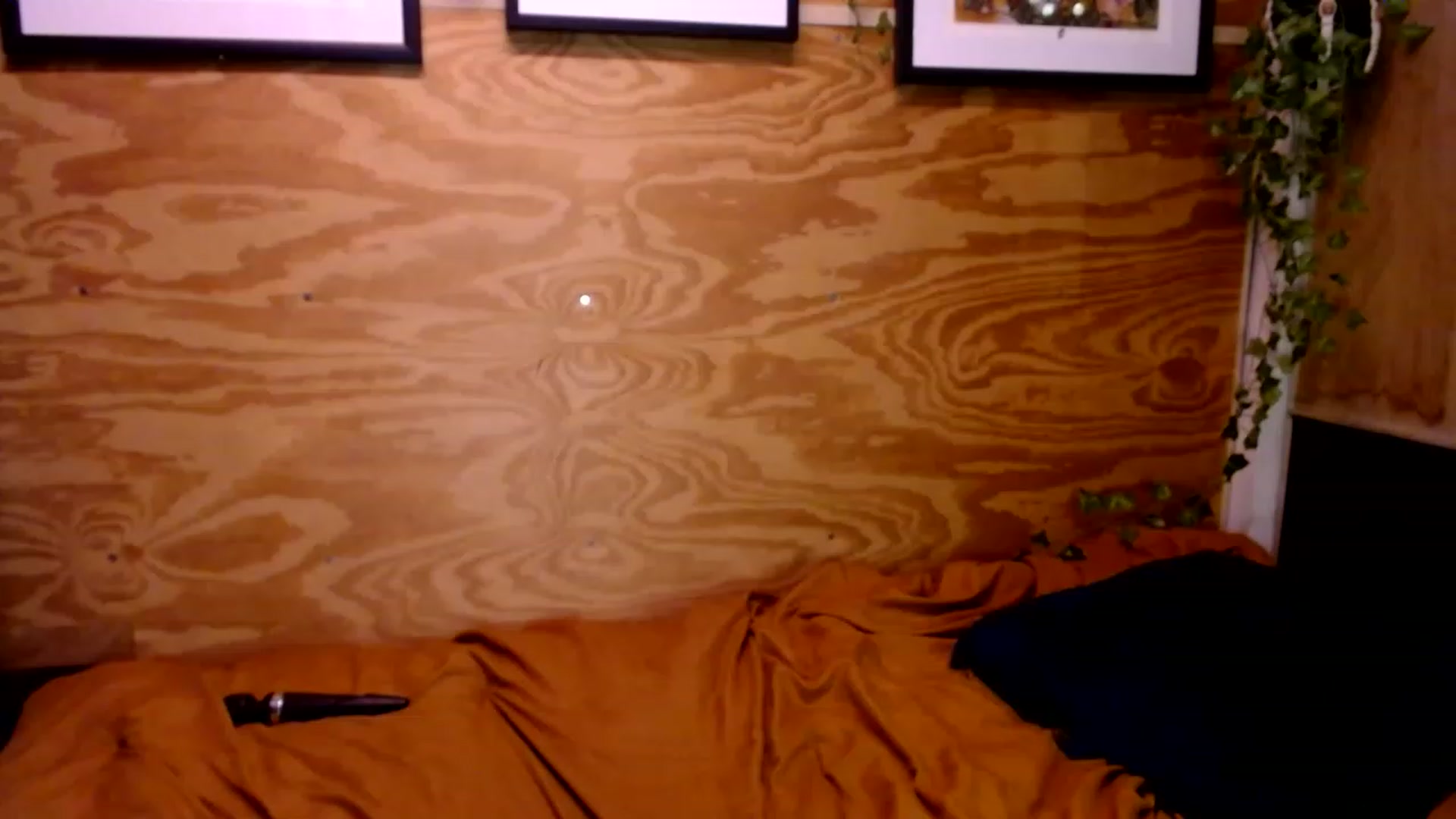 Gallery image thumbnail from slothyfoxy's myfreecams stream on, 01/16/2023, 04:11 image 1 of 20