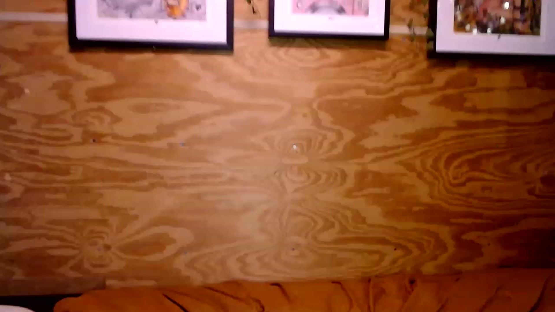 Gallery image thumbnail from slothyfoxy's myfreecams stream on, 01/22/2023, 24:41 image 4 of 20