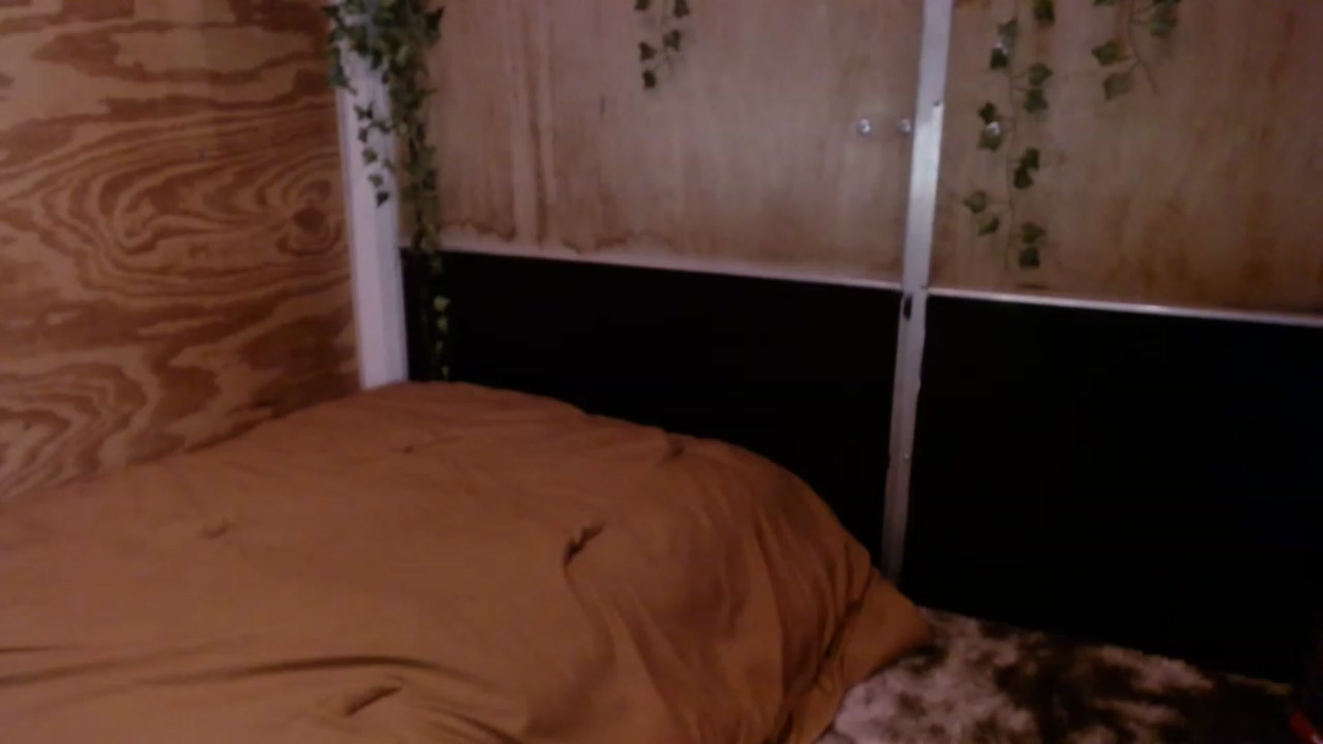 Gallery image thumbnail from slothyfoxy's myfreecams stream on, 03/06/2023, 04:53 image 20 of 20