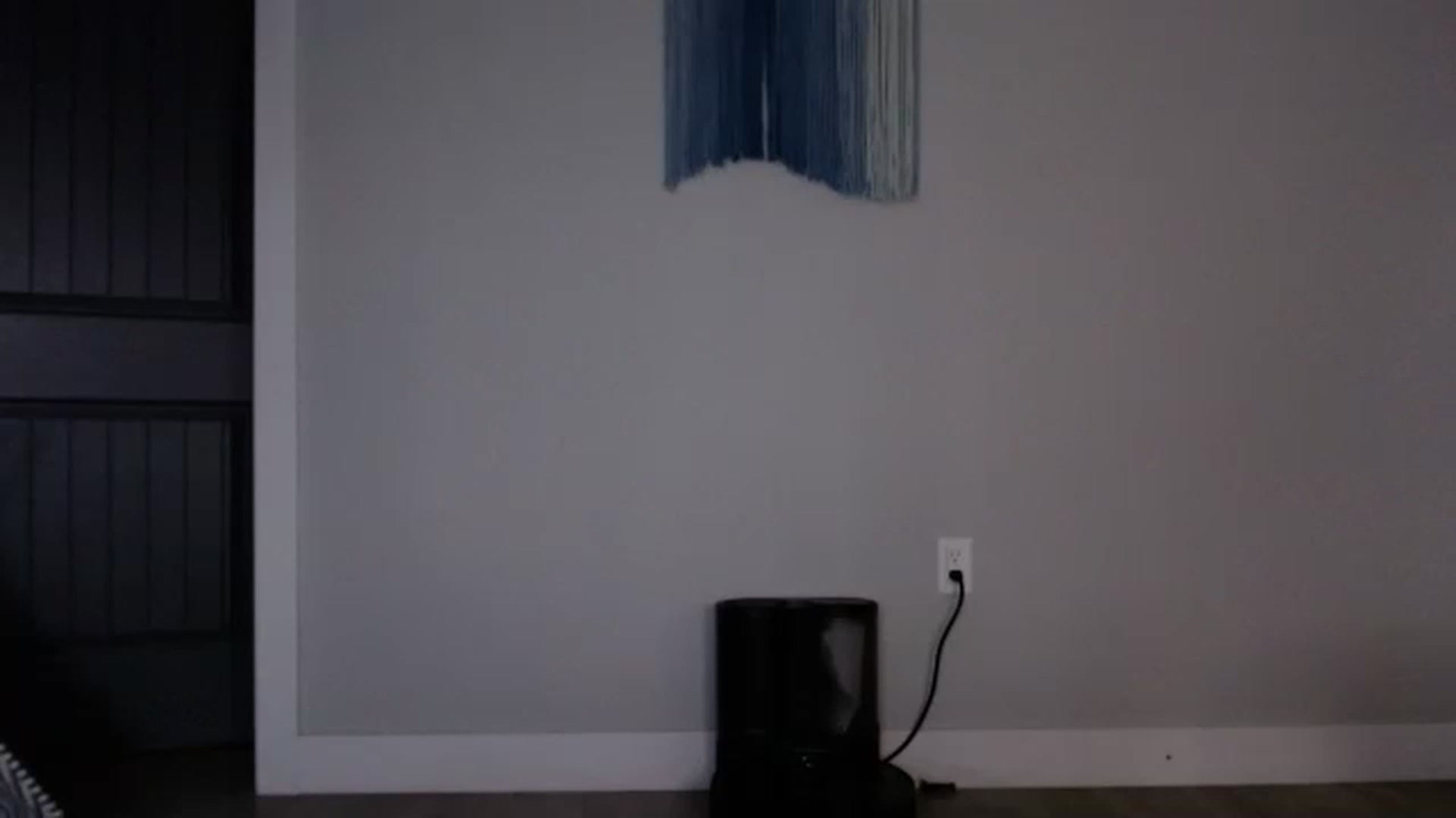 Gallery image thumbnail from slothyfoxy's myfreecams stream on, 05/21/2023, 02:53 image 12 of 20