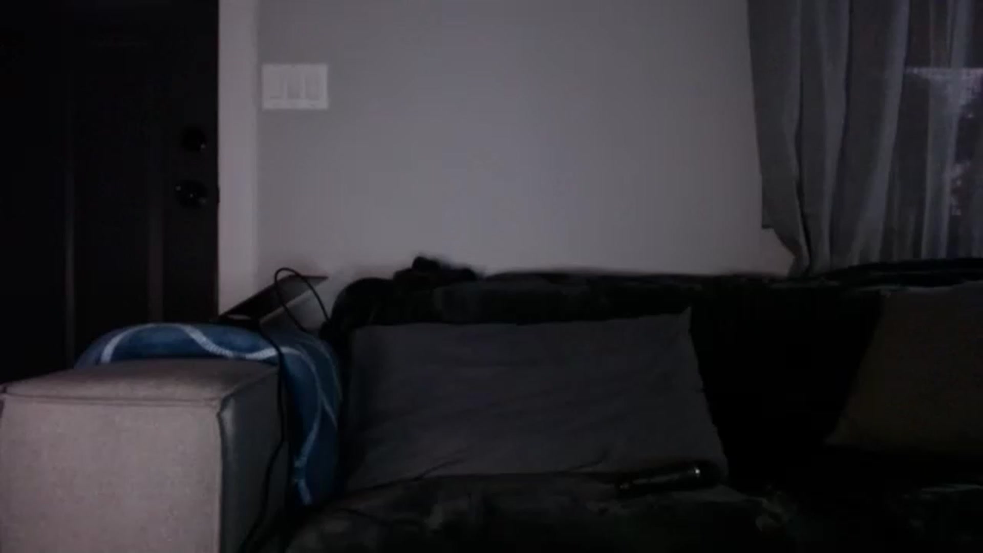 Gallery image thumbnail from slothyfoxy's myfreecams stream on, 05/21/2023, 03:34 image 9 of 20
