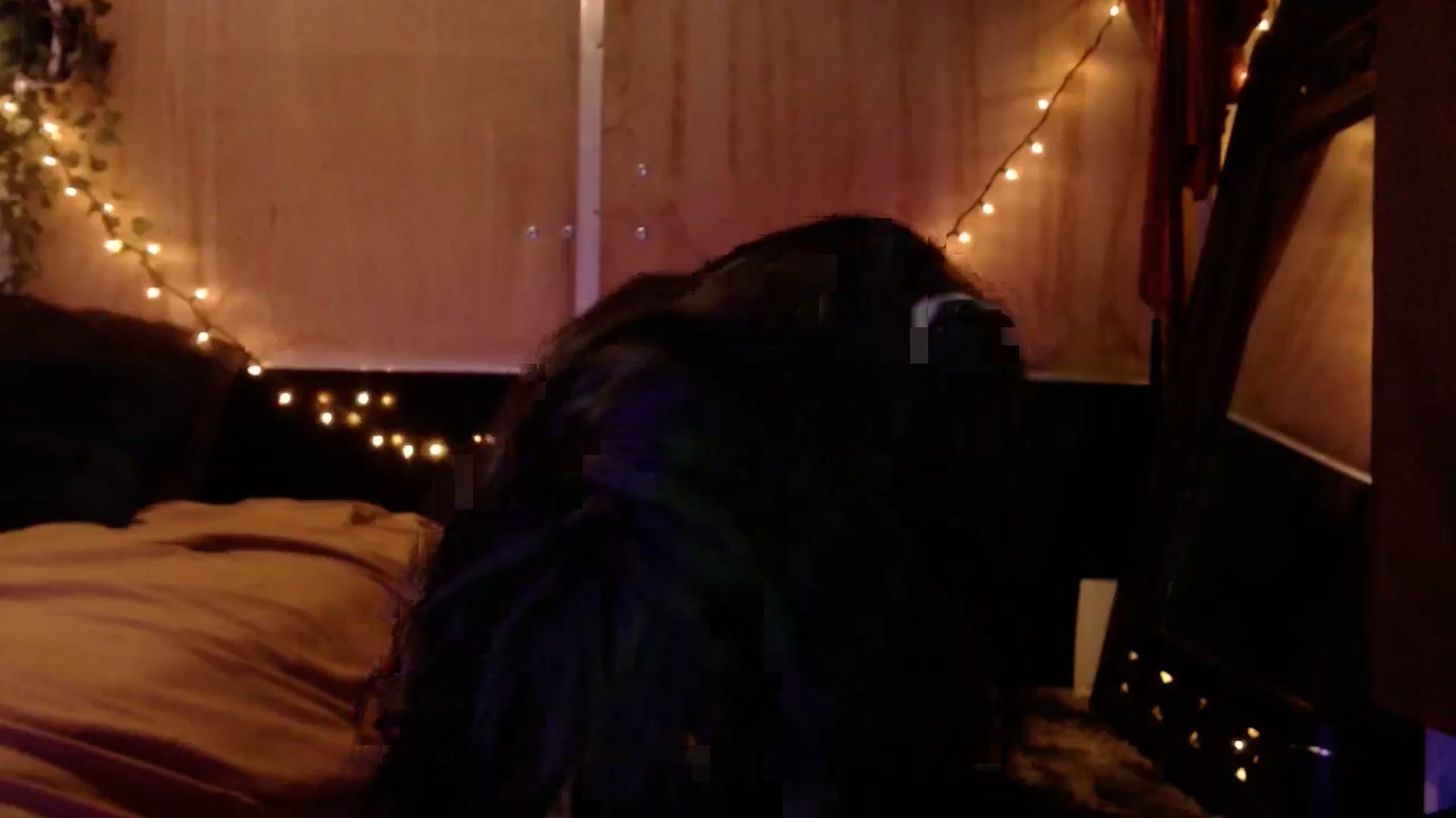 Gallery image thumbnail from slothyfoxy's myfreecams stream on, 12/03/2023, 07:51 image 10 of 20