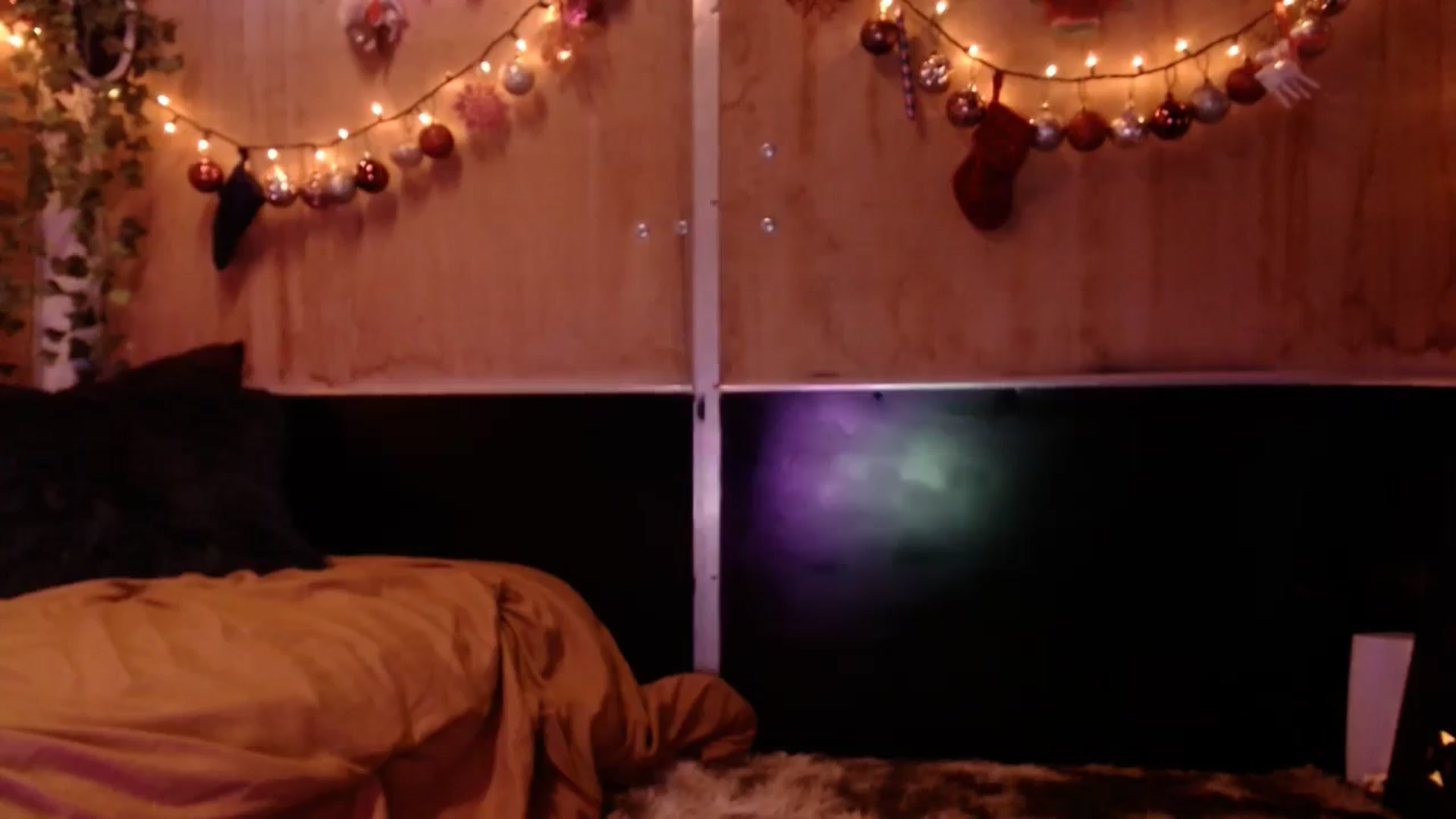 Gallery image thumbnail from slothyfoxy's myfreecams stream on, 12/13/2023, 03:01 image 2 of 20