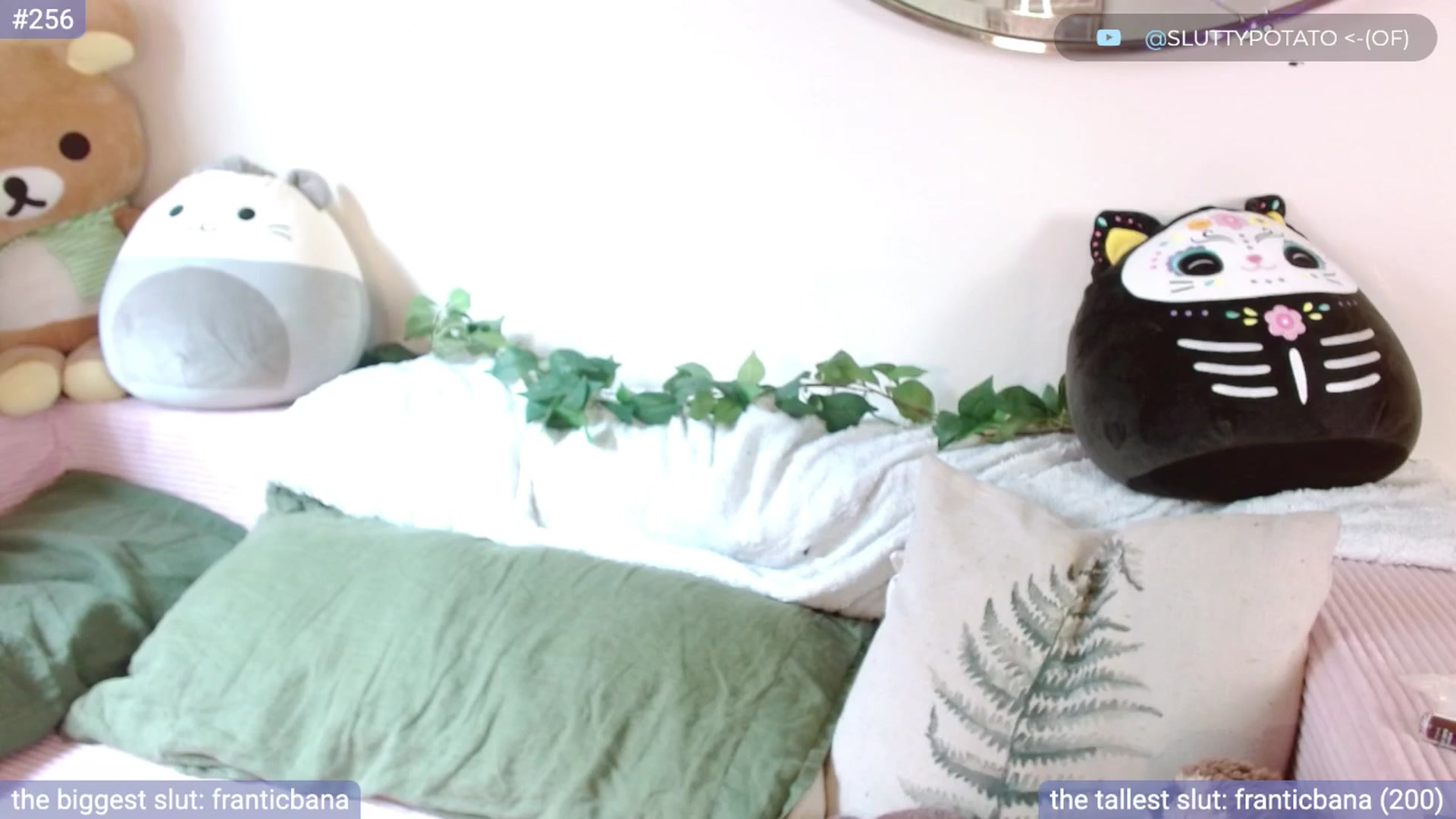 Gallery image thumbnail from sluttypotato_'s myfreecams stream on, 08/02/2025, 20:05 image 16 of 20