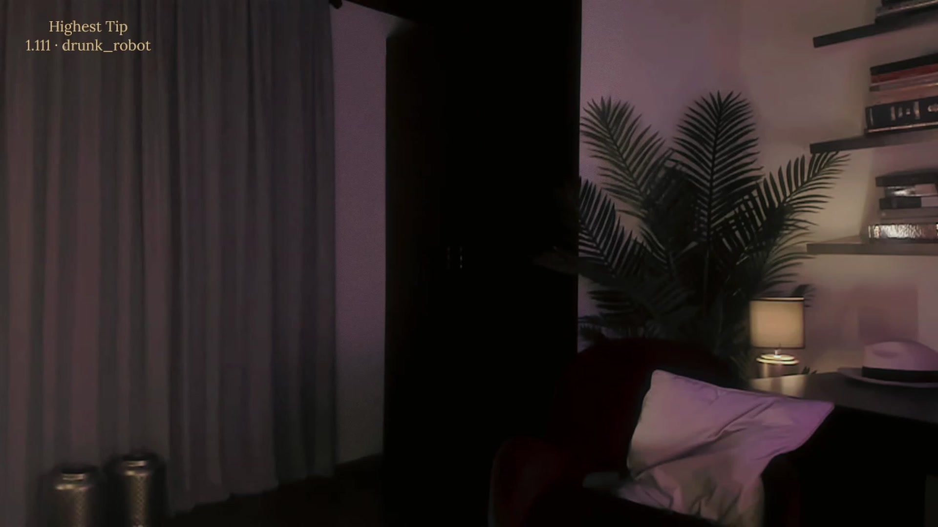 Gallery image thumbnail from sofiasboudoir's myfreecams stream on, 12/29/2022, 09:12 image 16 of 20