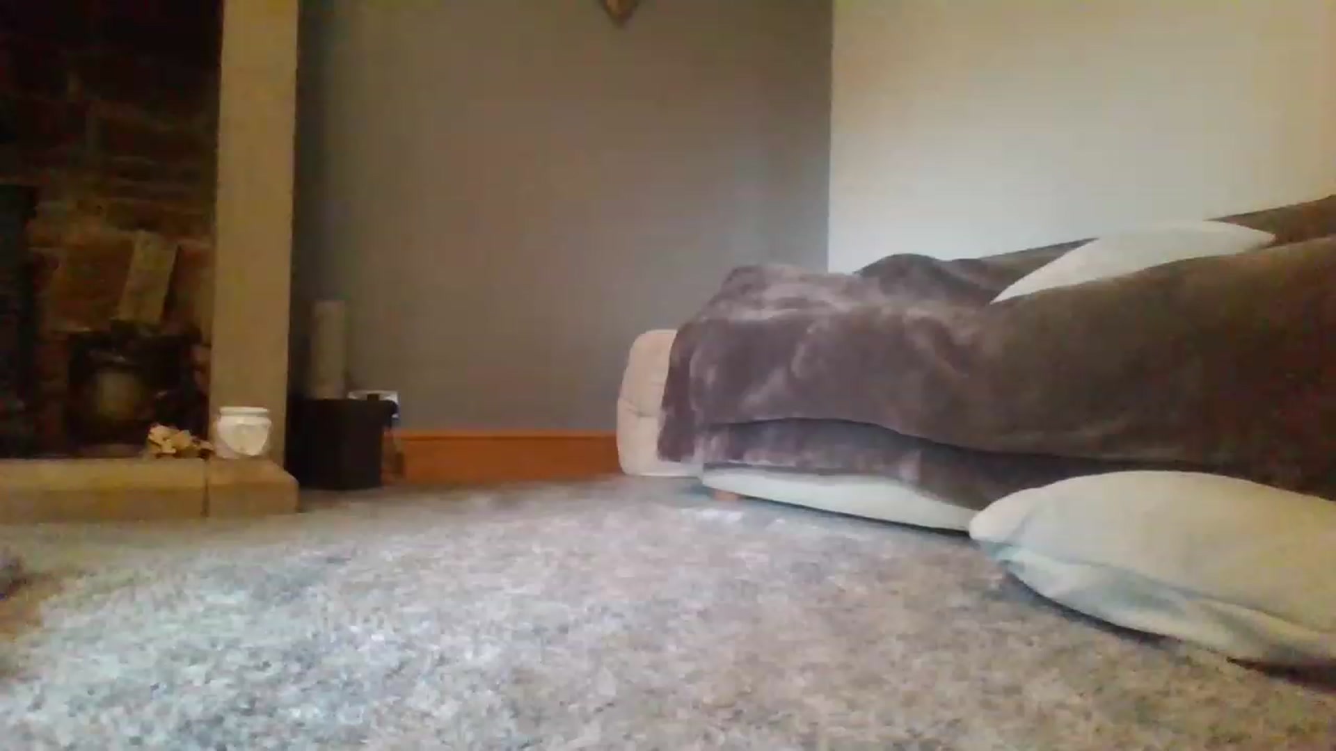 Gallery image thumbnail from sophxoxo1's myfreecams stream on, 07/11/2023, 15:13 image 10 of 20
