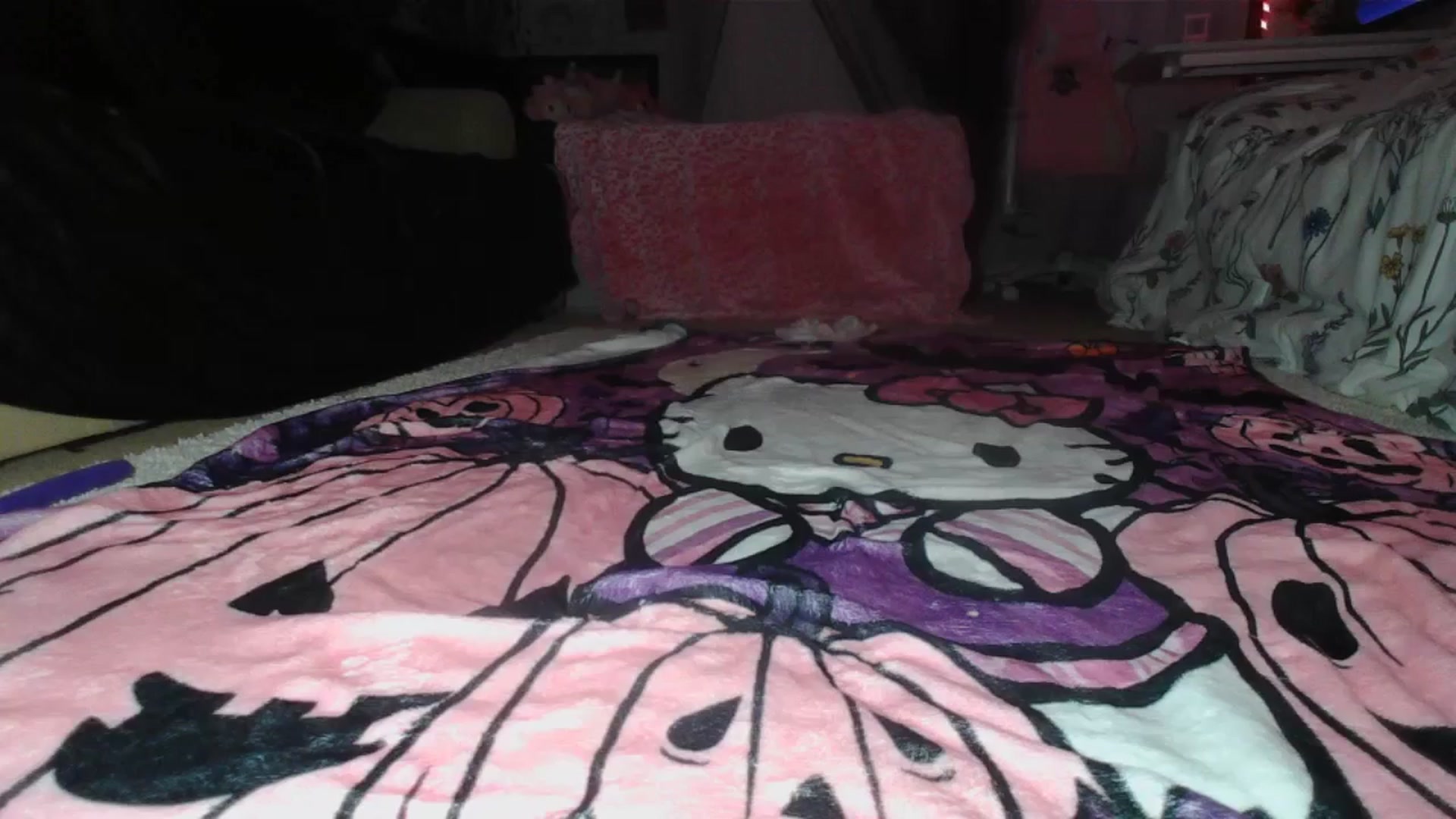 Gallery image thumbnail from sp1tpuppehh's myfreecams stream on, 11/20/2024, 02:39 image 12 of 20