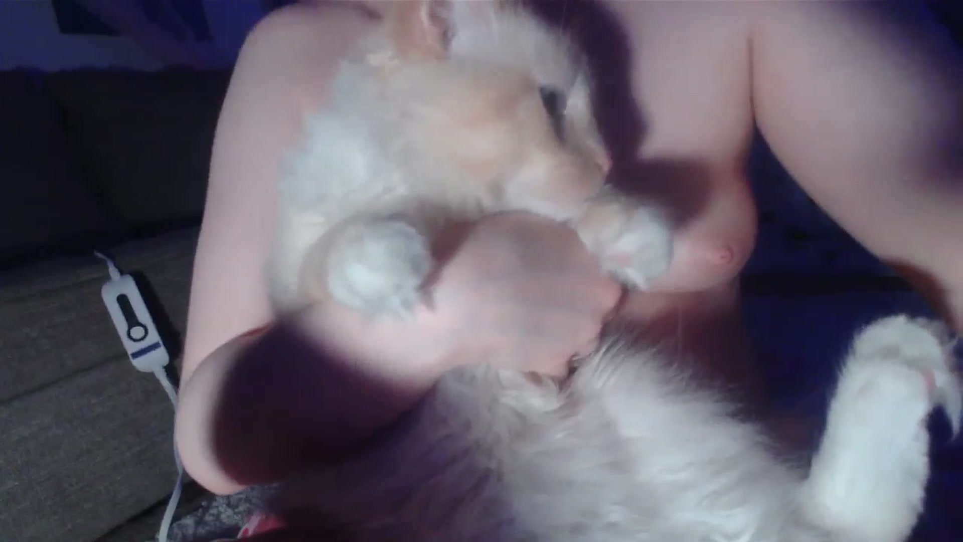 Gallery image thumbnail from sp1tpuppehh's myfreecams stream on, 12/08/2024, 12:36 image 3 of 20