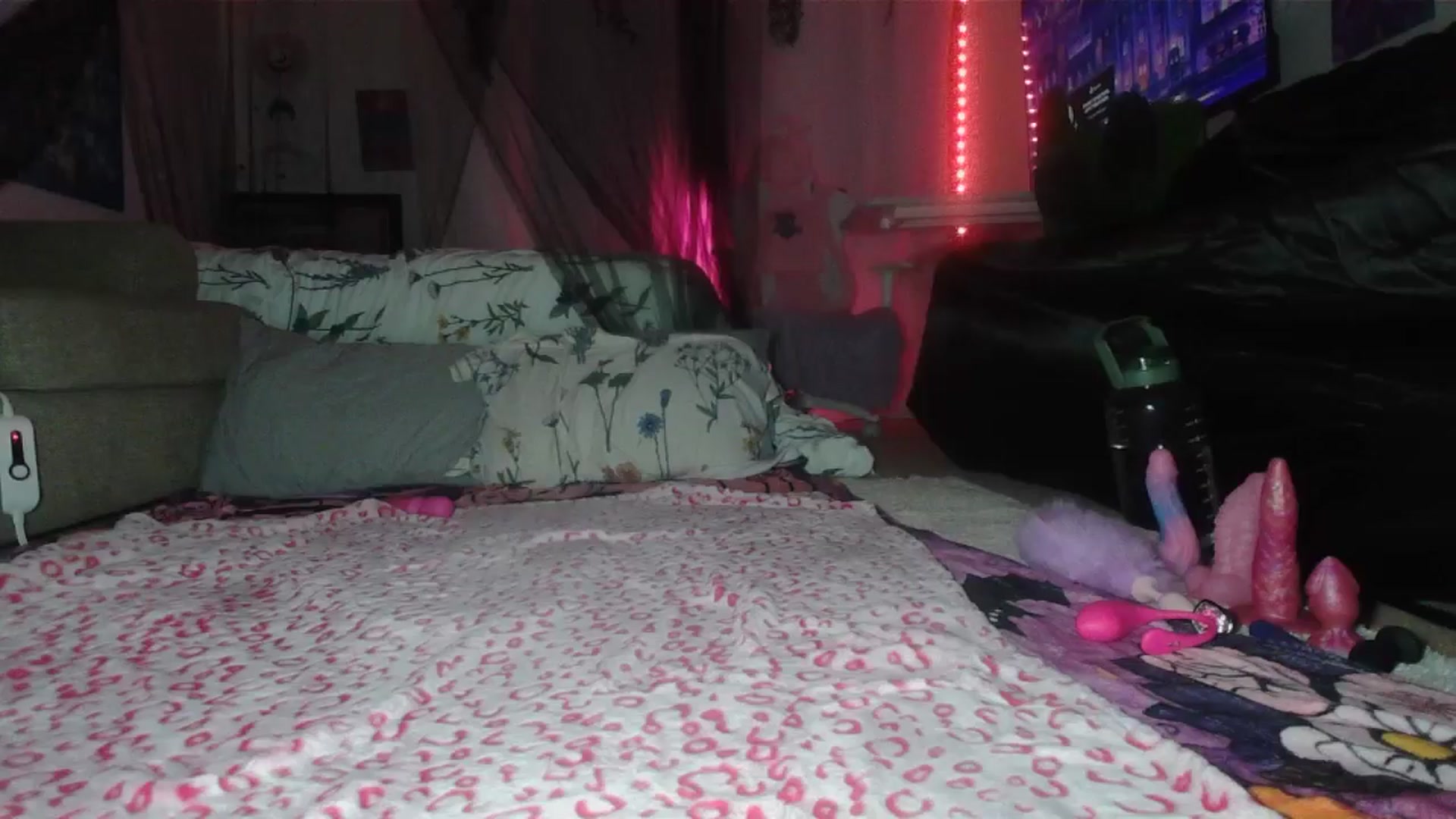 Gallery image thumbnail from sp1tpuppehh's myfreecams stream on, 12/14/2024, 12:23 image 15 of 20