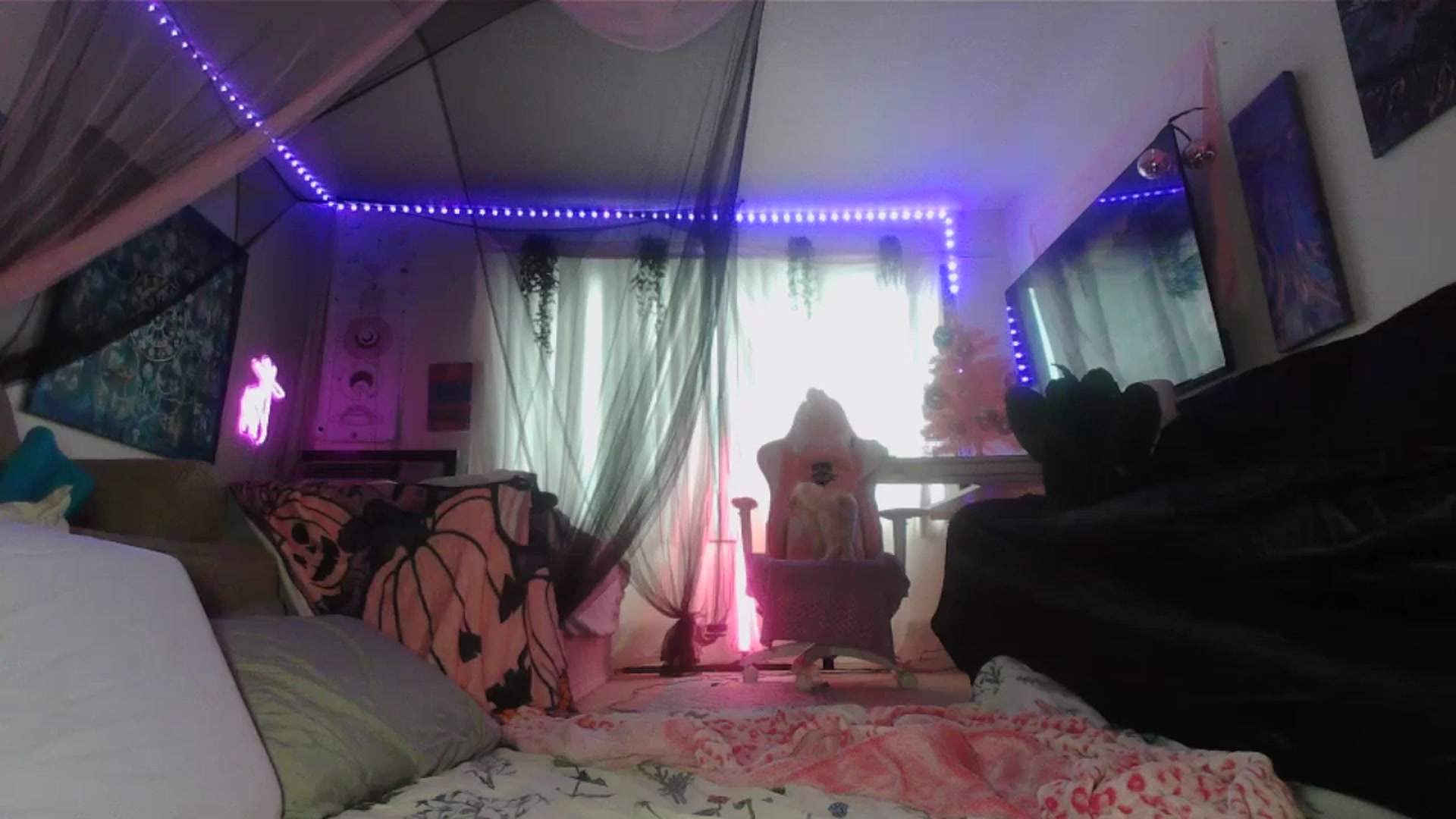 Gallery image thumbnail from sp1tpuppehh's myfreecams stream on, 12/25/2024, 16:39 image 3 of 20