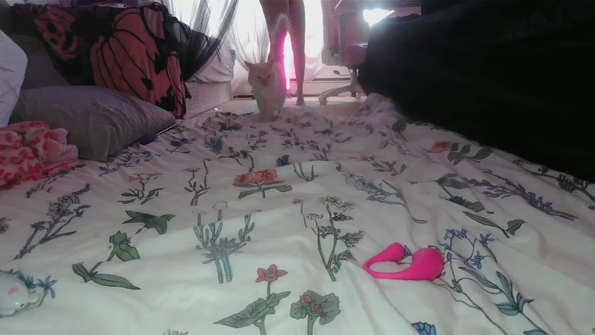 Gallery image thumbnail from sp1tpuppehh's myfreecams stream on, 12/25/2024, 17:49 image 17 of 20