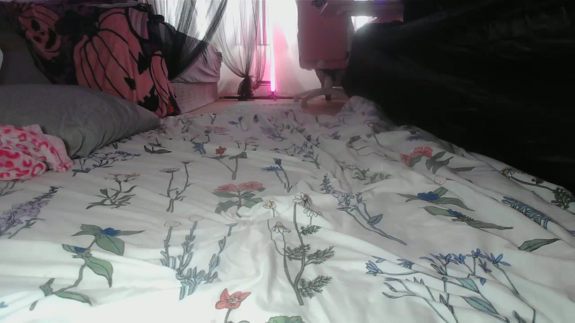 Gallery image thumbnail from sp1tpuppehh's myfreecams stream on, 12/25/2024, 17:49 image 1 of 20