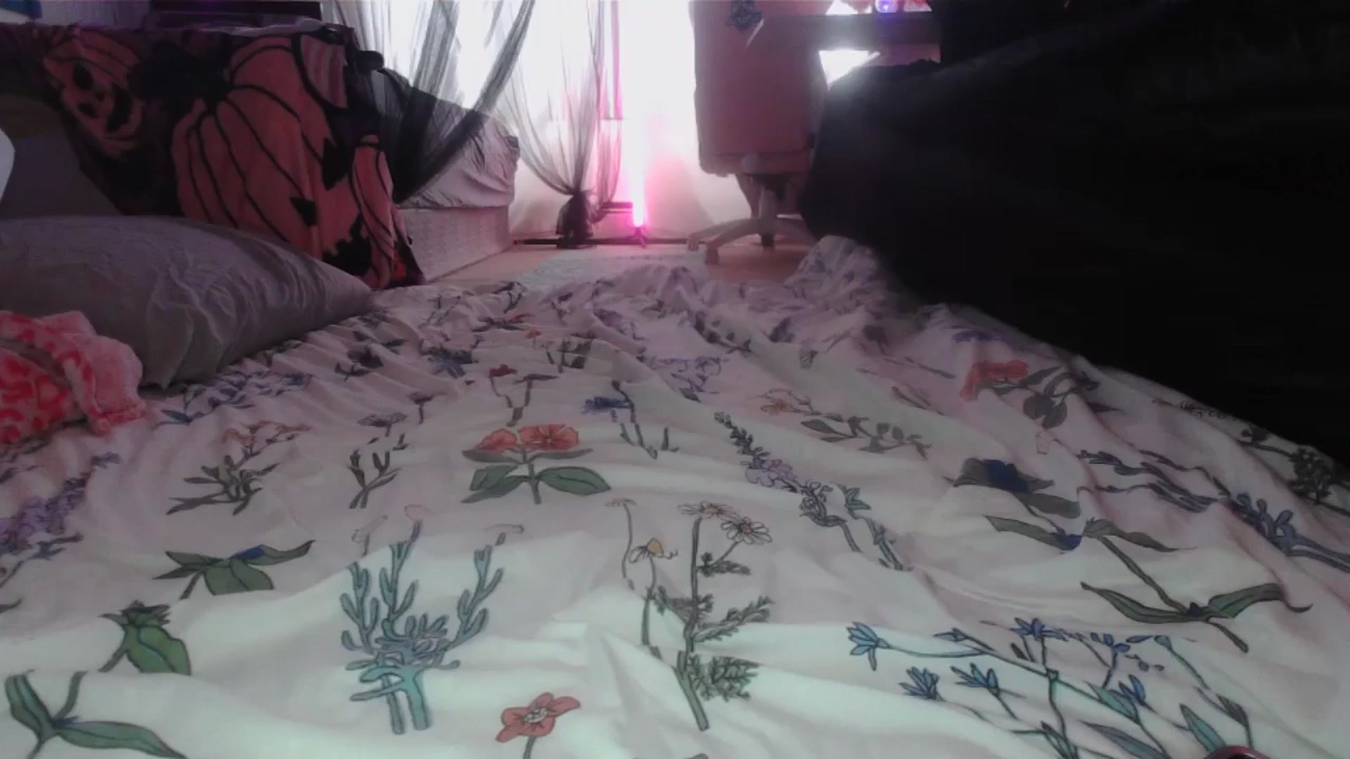 Gallery image thumbnail from sp1tpuppehh's myfreecams stream on, 12/25/2024, 17:49 image 3 of 20