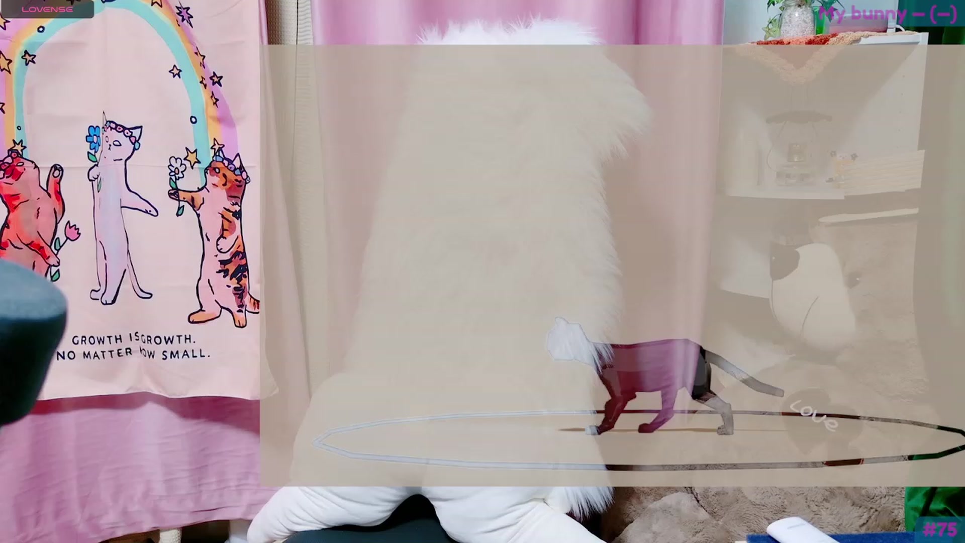 Gallery image thumbnail from spidermeow's myfreecams stream on, 09/03/2023, 04:12 image 16 of 20
