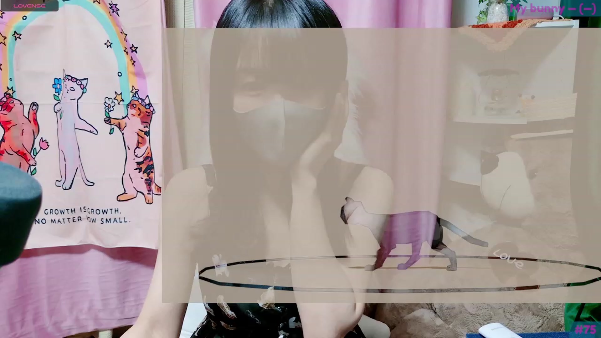 Gallery image thumbnail from spidermeow's myfreecams stream on, 09/03/2023, 04:12 image 15 of 20