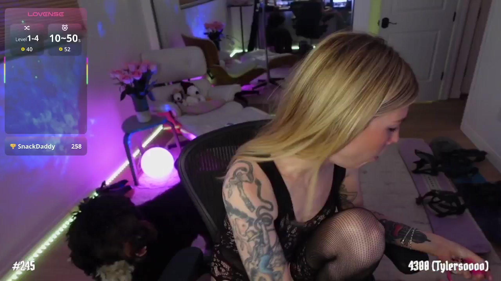 Gallery image thumbnail from stoney_bean's myfreecams stream on, 01/09/2026, 04:19 image 2 of 20