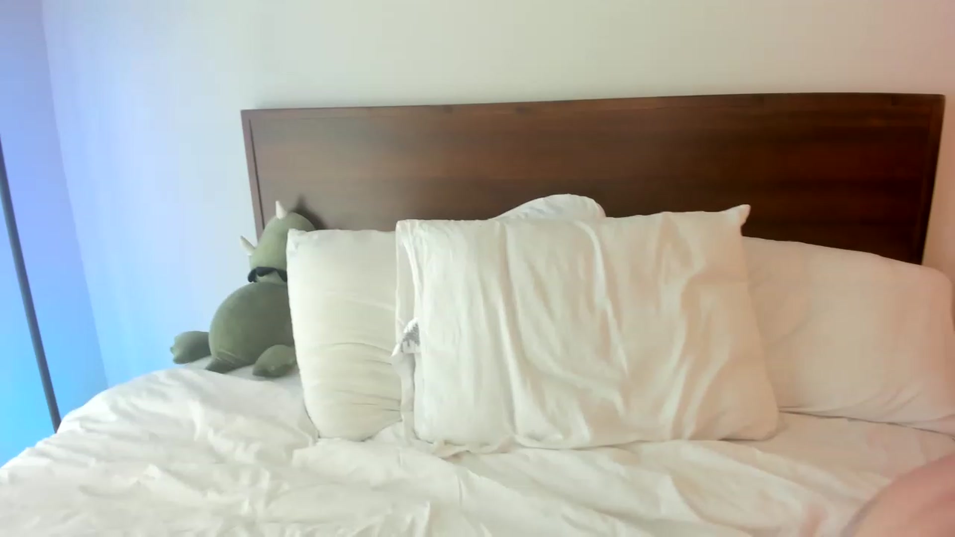 Gallery image thumbnail from stoney_fox's myfreecams stream on, 05/18/2023, 22:40 image 19 of 20