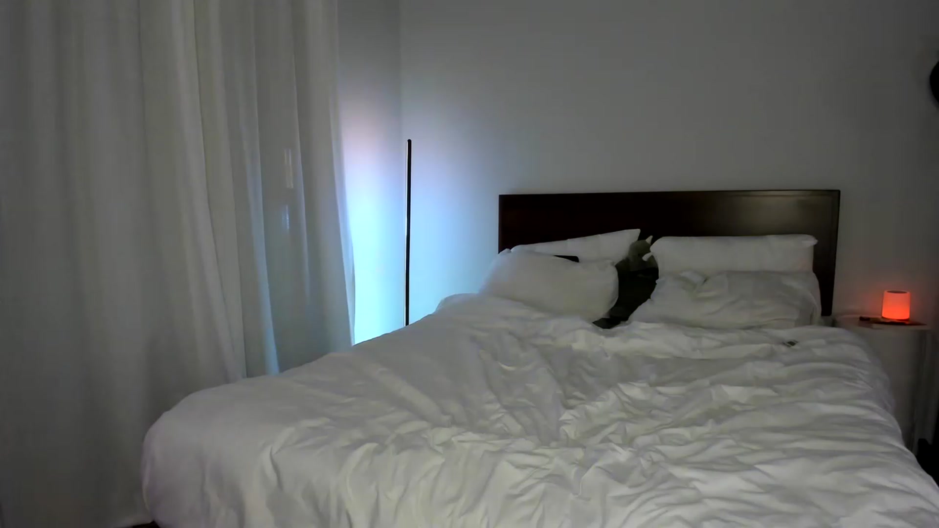 Gallery image thumbnail from stoney_fox's myfreecams stream on, 05/28/2023, 06:56 image 11 of 20