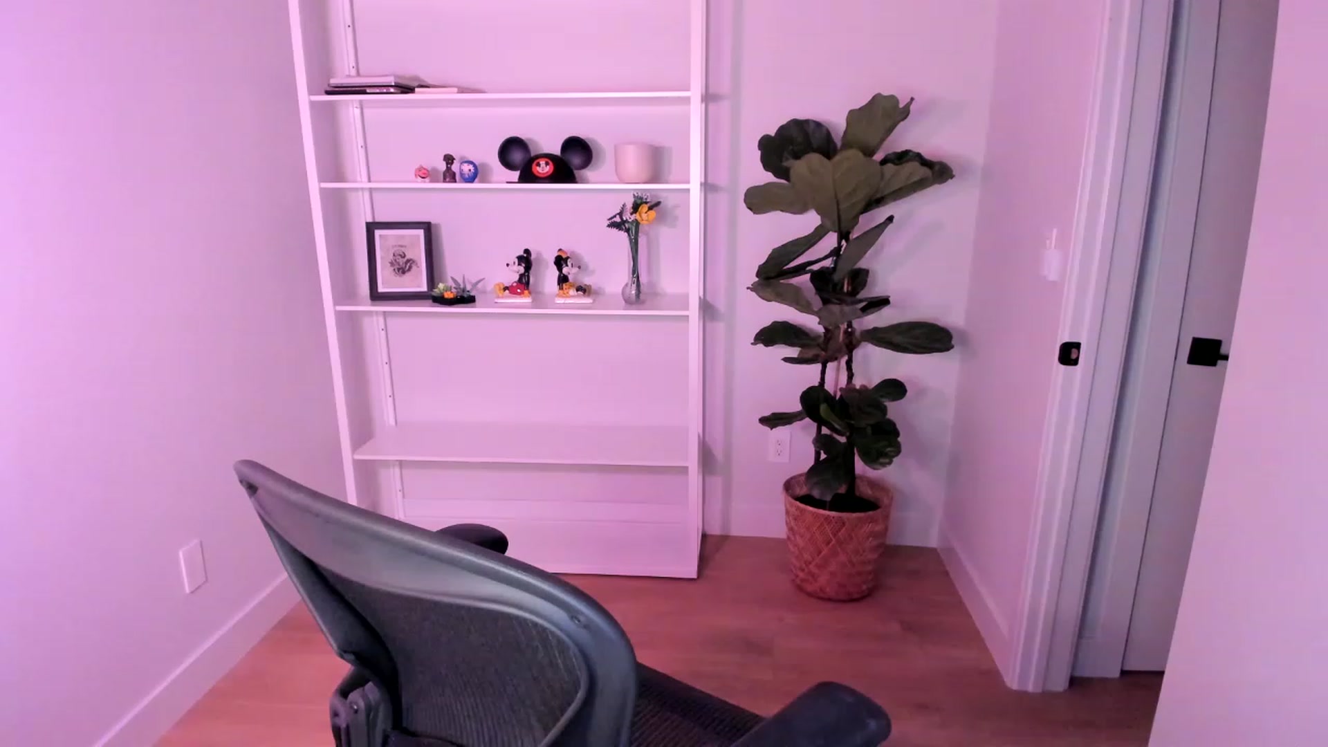 Gallery image thumbnail from stoney_fox's myfreecams stream on, 05/29/2023, 04:26 image 1 of 20