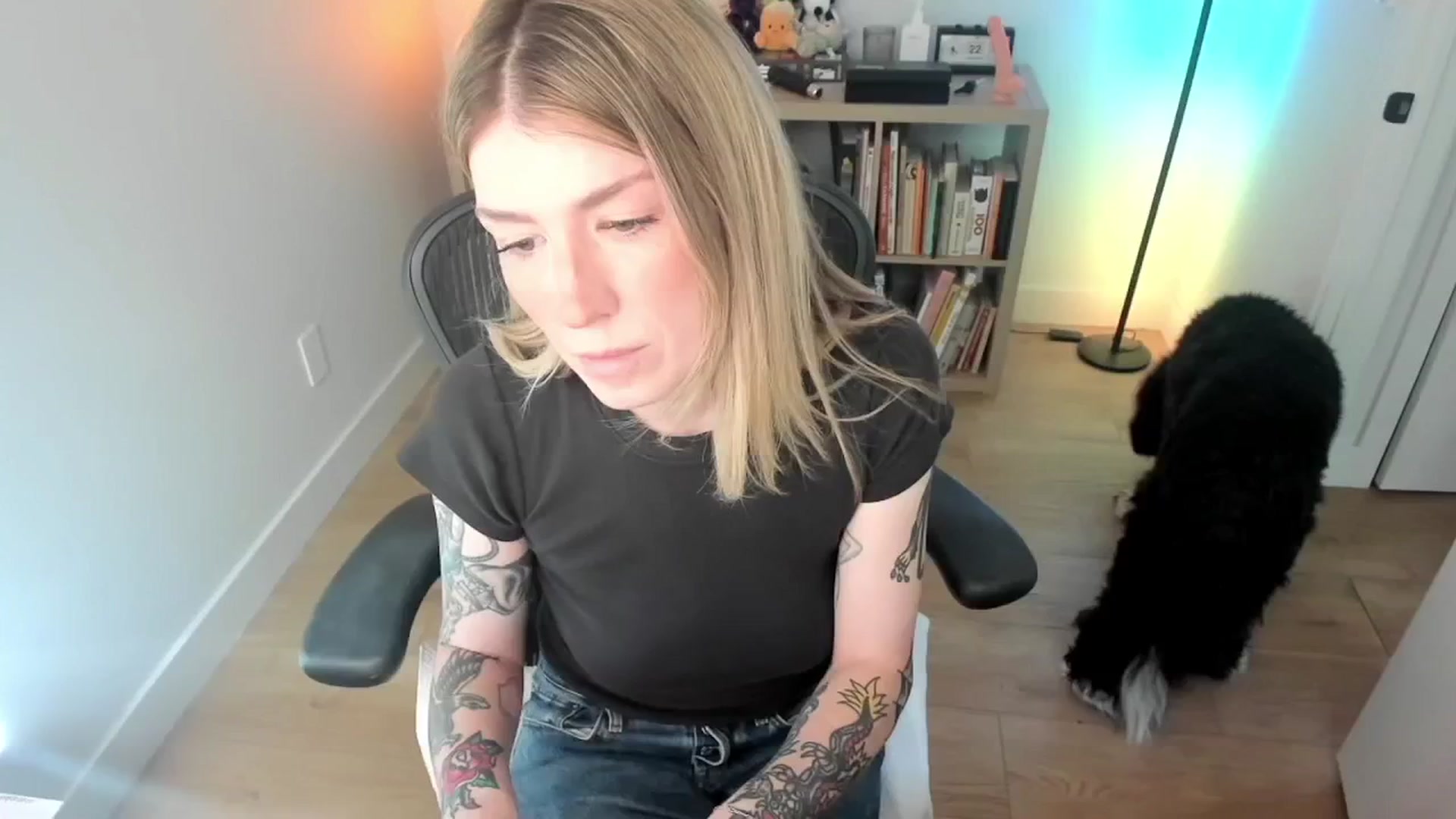 Gallery image thumbnail from stoney_fox's myfreecams stream on, 09/29/2025, 22:02 image 8 of 20