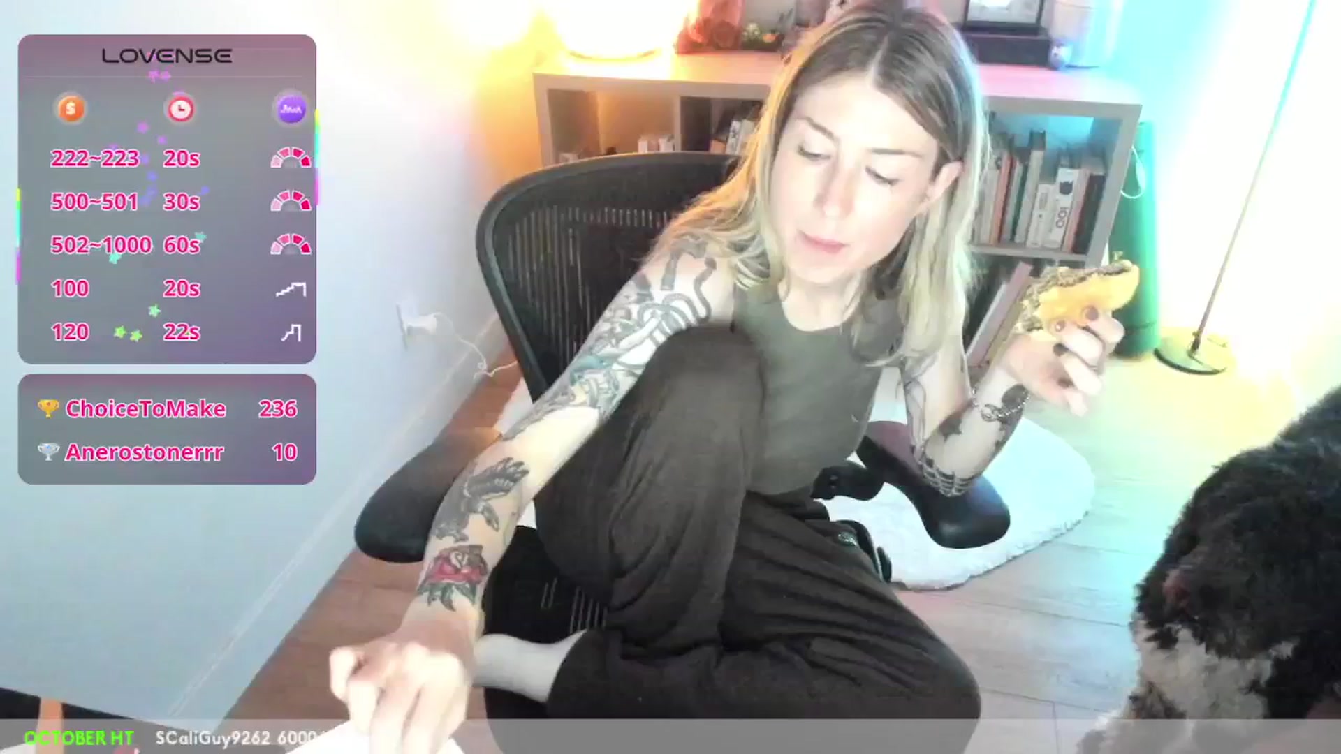 Gallery image thumbnail from stoney_fox's myfreecams stream on, 10/11/2025, 07:43 image 6 of 20