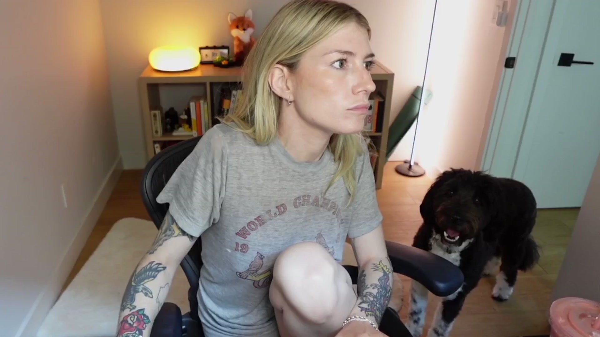 Gallery image thumbnail from stoney_fox's myfreecams stream on, 10/26/2025, 20:58 image 19 of 20