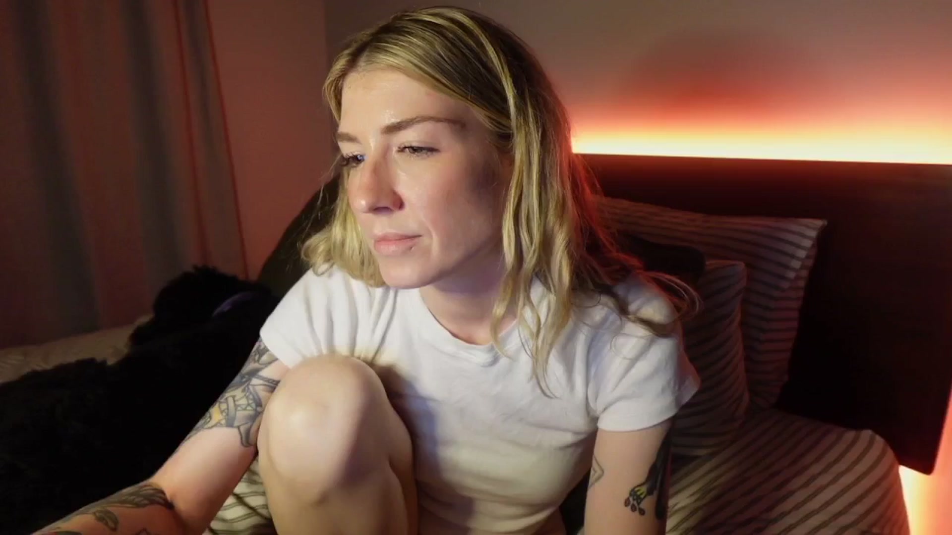 Gallery image thumbnail from stoney_fox's myfreecams stream on, 11/05/2025, 07:29 image 1 of 20