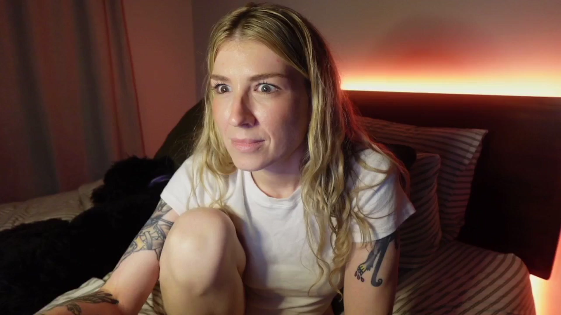 Gallery image thumbnail from stoney_fox's myfreecams stream on, 11/05/2025, 07:29 image 4 of 20