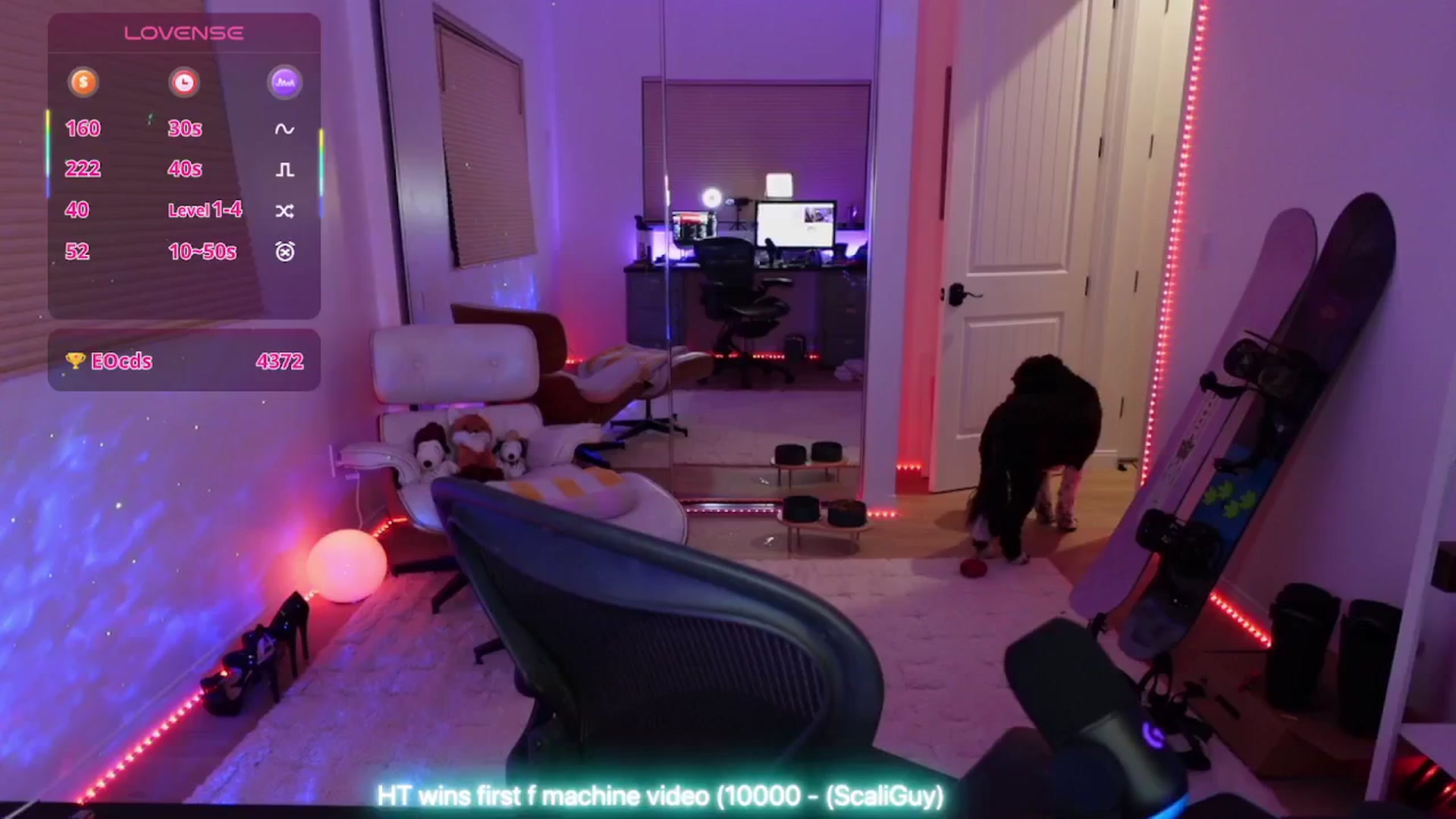Gallery image thumbnail from stoney_fox's myfreecams stream on, 11/21/2025, 07:03 image 19 of 20