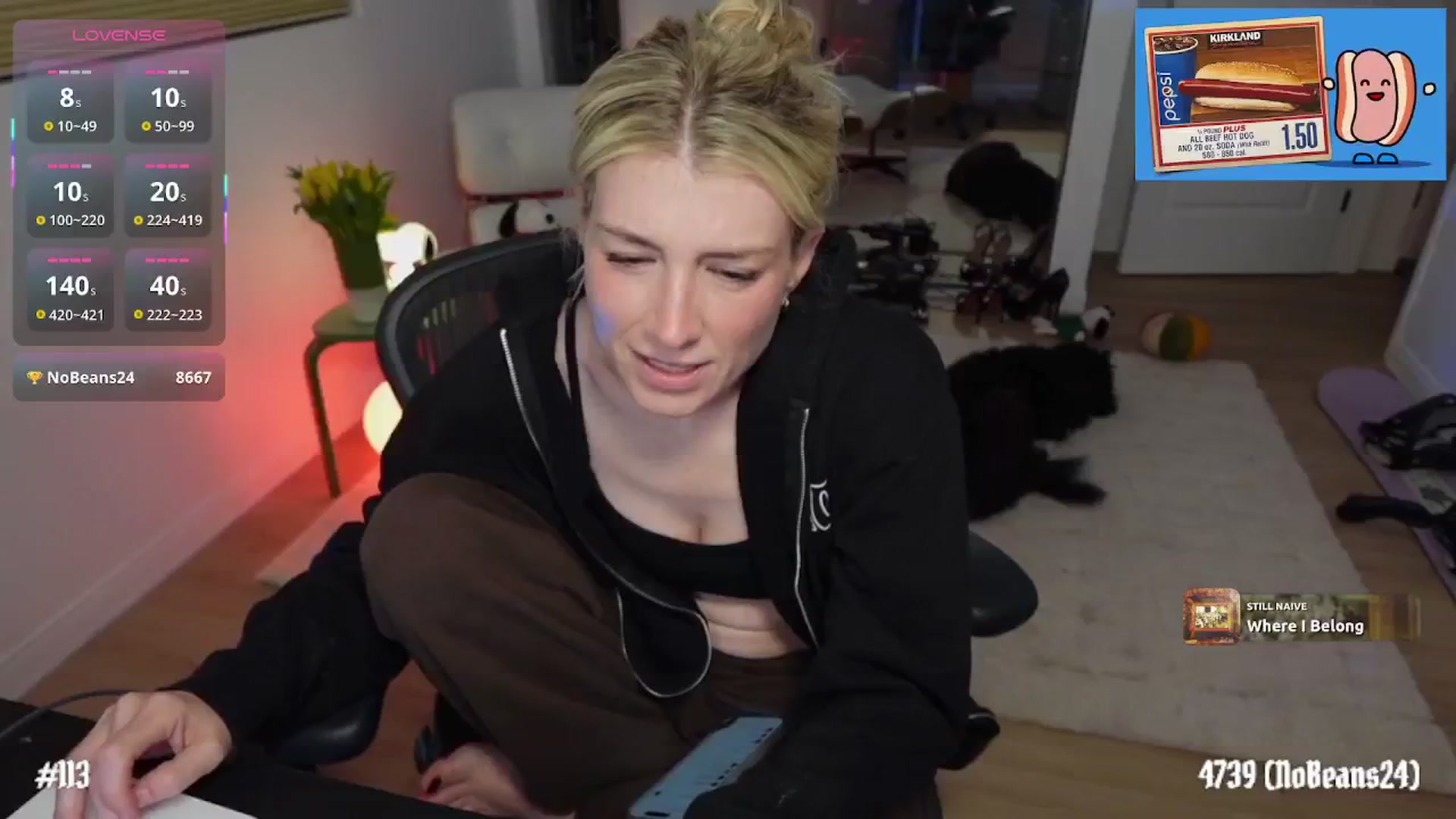 Gallery image thumbnail from stoney_fox's myfreecams stream on, 01/20/2026, 09:56 image 13 of 20