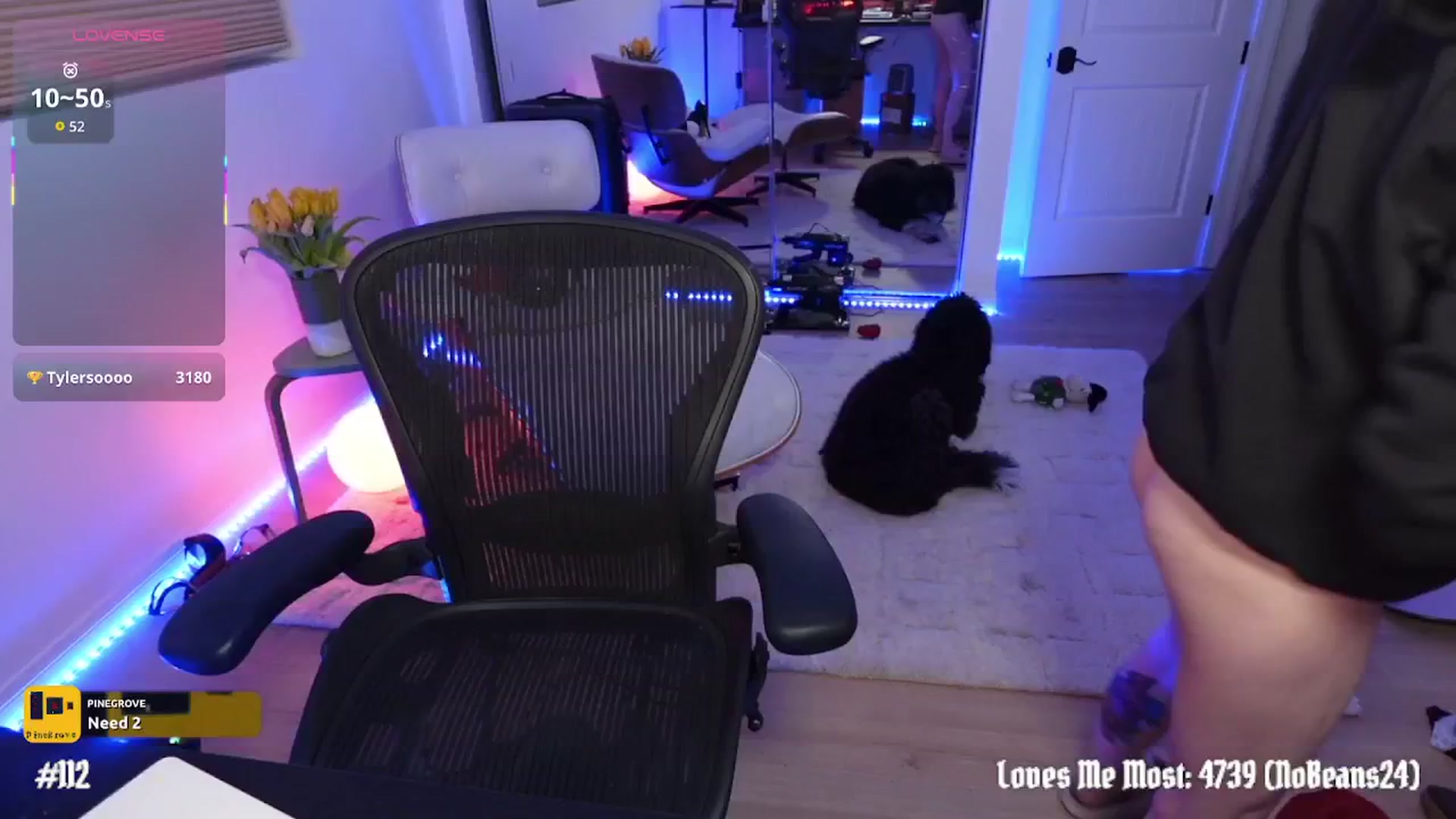 Gallery image thumbnail from stoney_fox's myfreecams stream on, 01/25/2026, 08:55 image 6 of 20