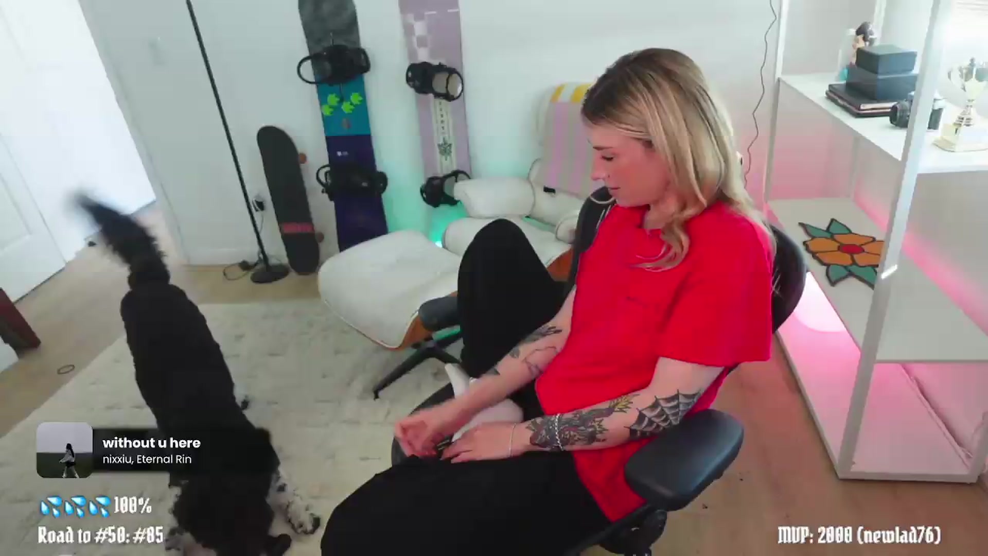 Gallery image thumbnail from stoney_fox's myfreecams stream on, 05/22/2026, 24:00 image 11 of 20
