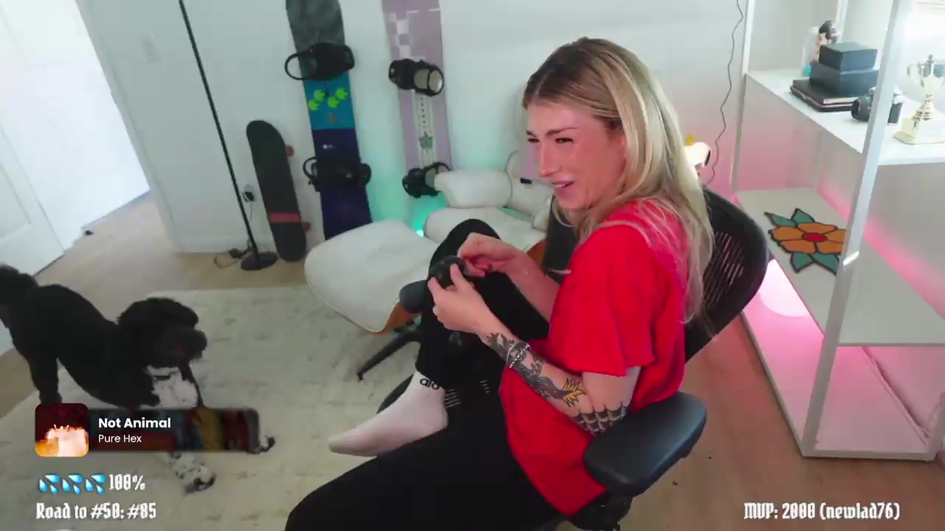 Gallery image thumbnail from stoney_fox's myfreecams stream on, 05/22/2026, 24:00 image 12 of 20