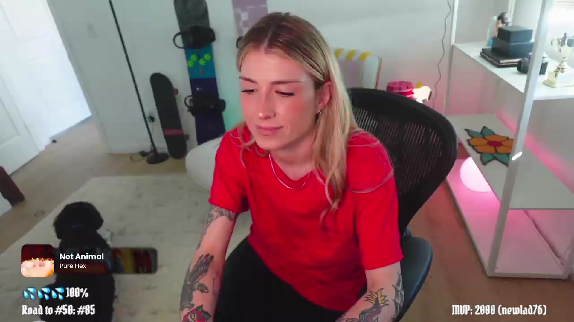 Gallery image thumbnail from stoney_fox's myfreecams stream on, 05/22/2026, 24:00 image 13 of 20