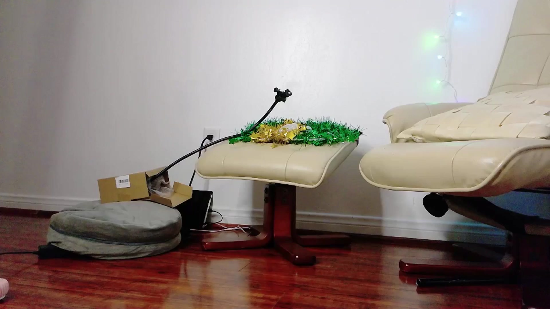 Gallery image thumbnail from sugarbb_'s myfreecams stream on, 12/04/2024, 11:59 image 20 of 20