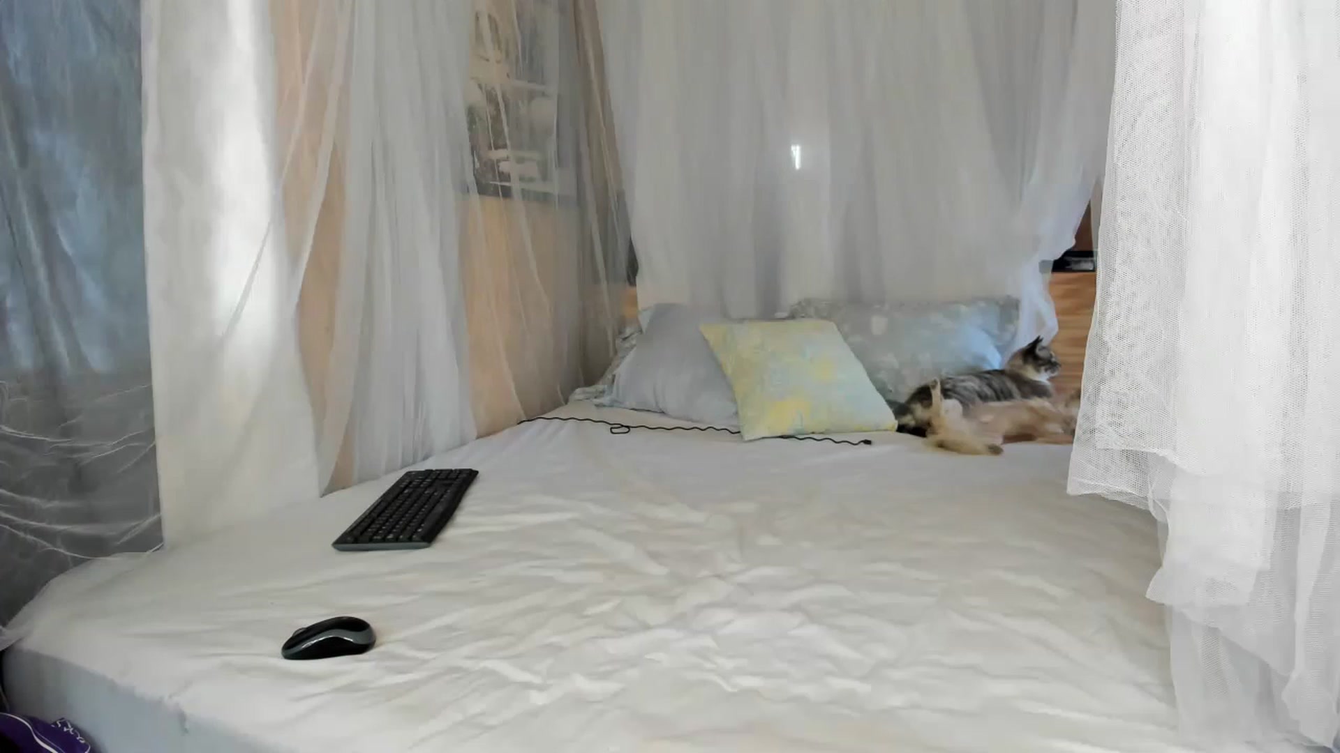 Gallery image thumbnail from summer4413's myfreecams stream on, 12/05/2022, 16:27 image 18 of 20