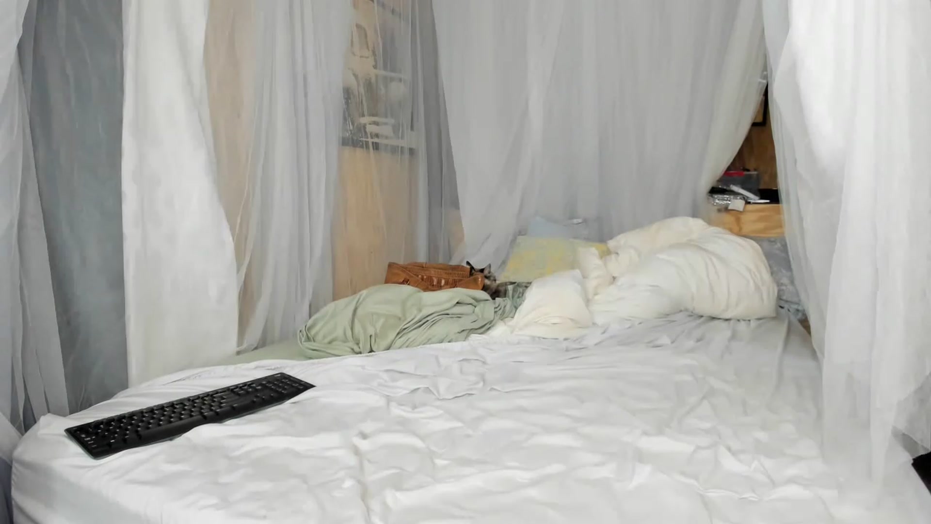 Gallery image thumbnail from summer4413's myfreecams stream on, 12/17/2022, 01:17 image 7 of 20