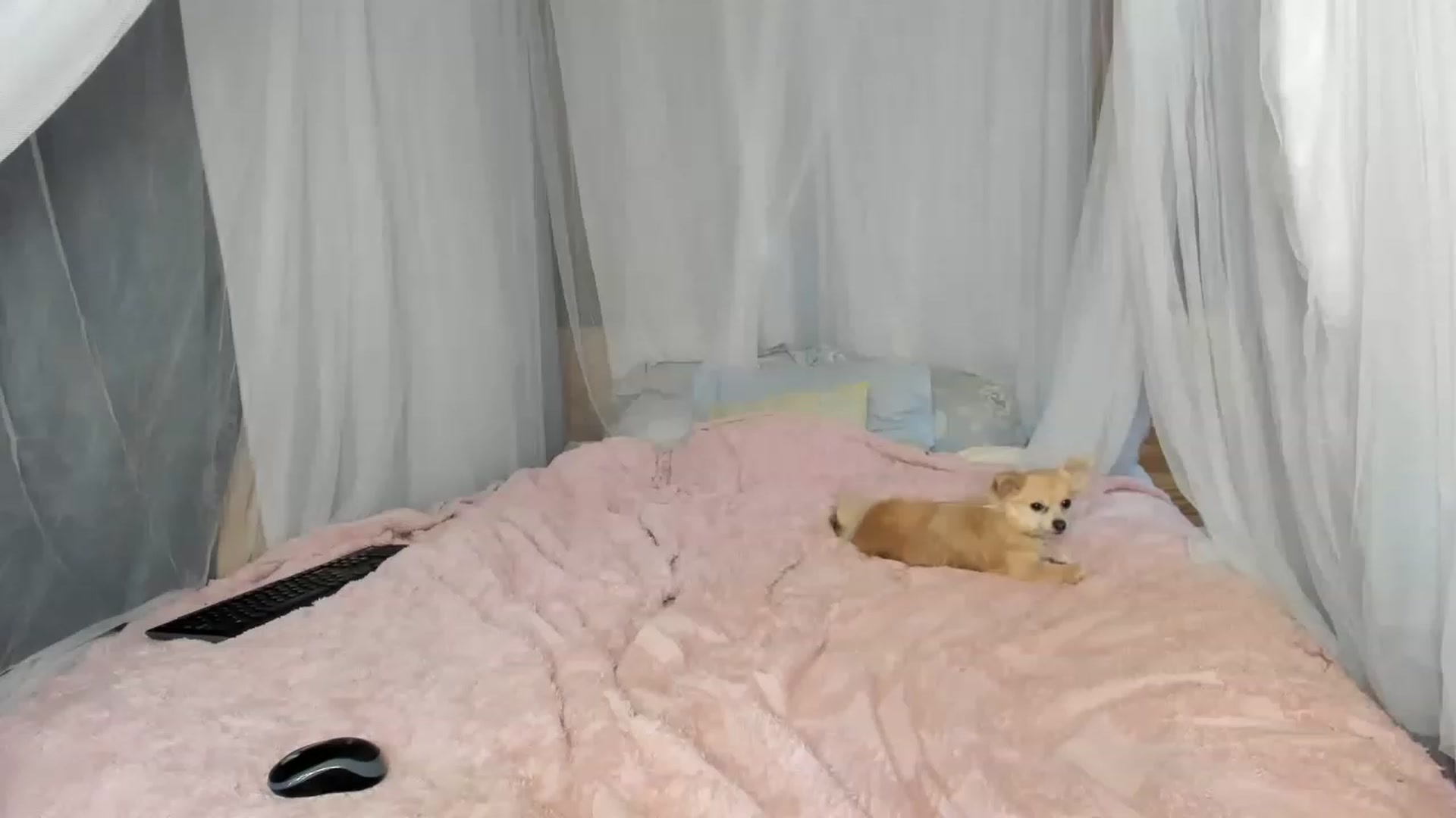 Gallery image thumbnail from summer4413's myfreecams stream on, 01/29/2023, 18:36 image 14 of 20