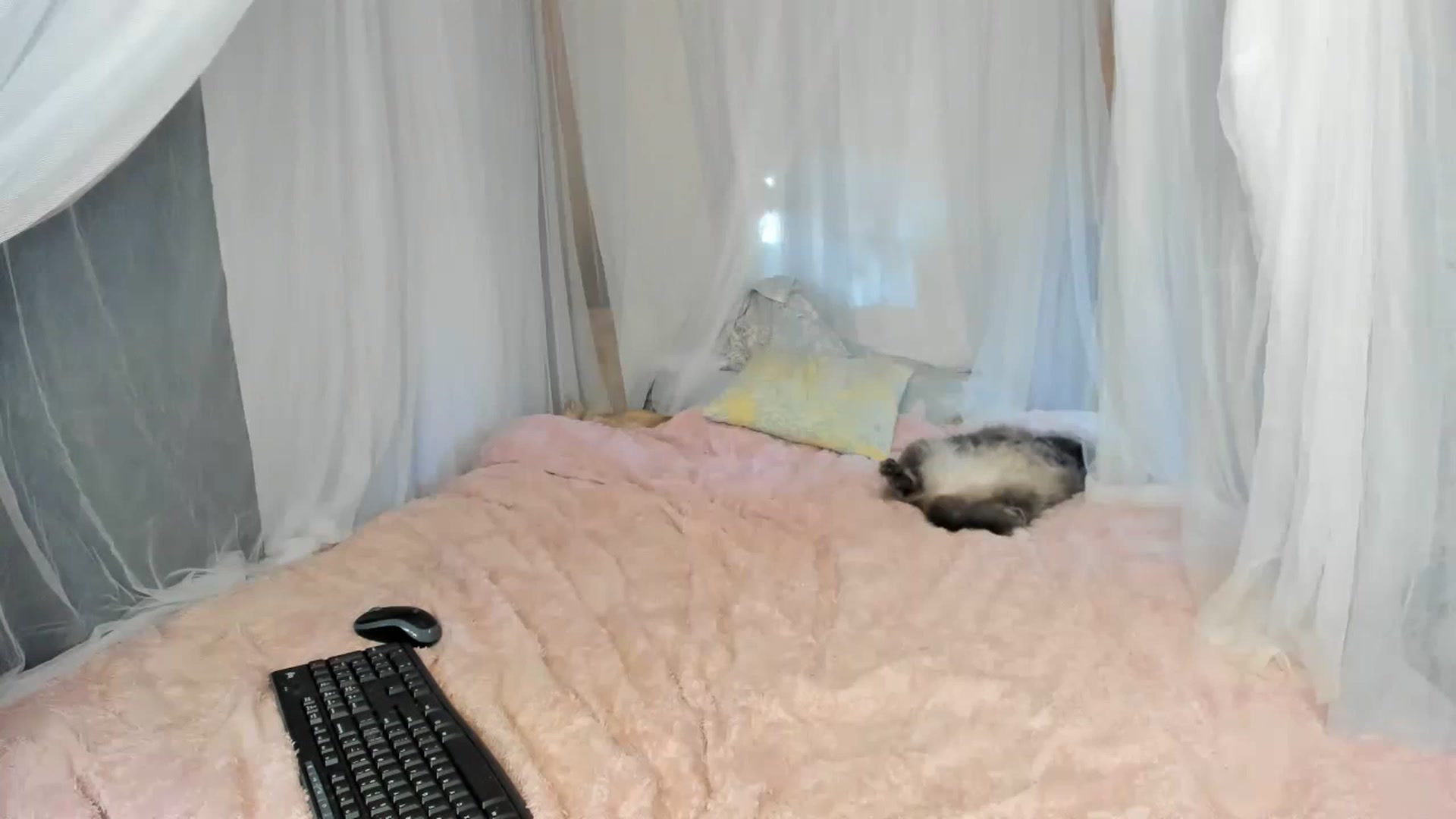 Gallery image thumbnail from summer4413's myfreecams stream on, 02/04/2023, 18:54 image 8 of 20