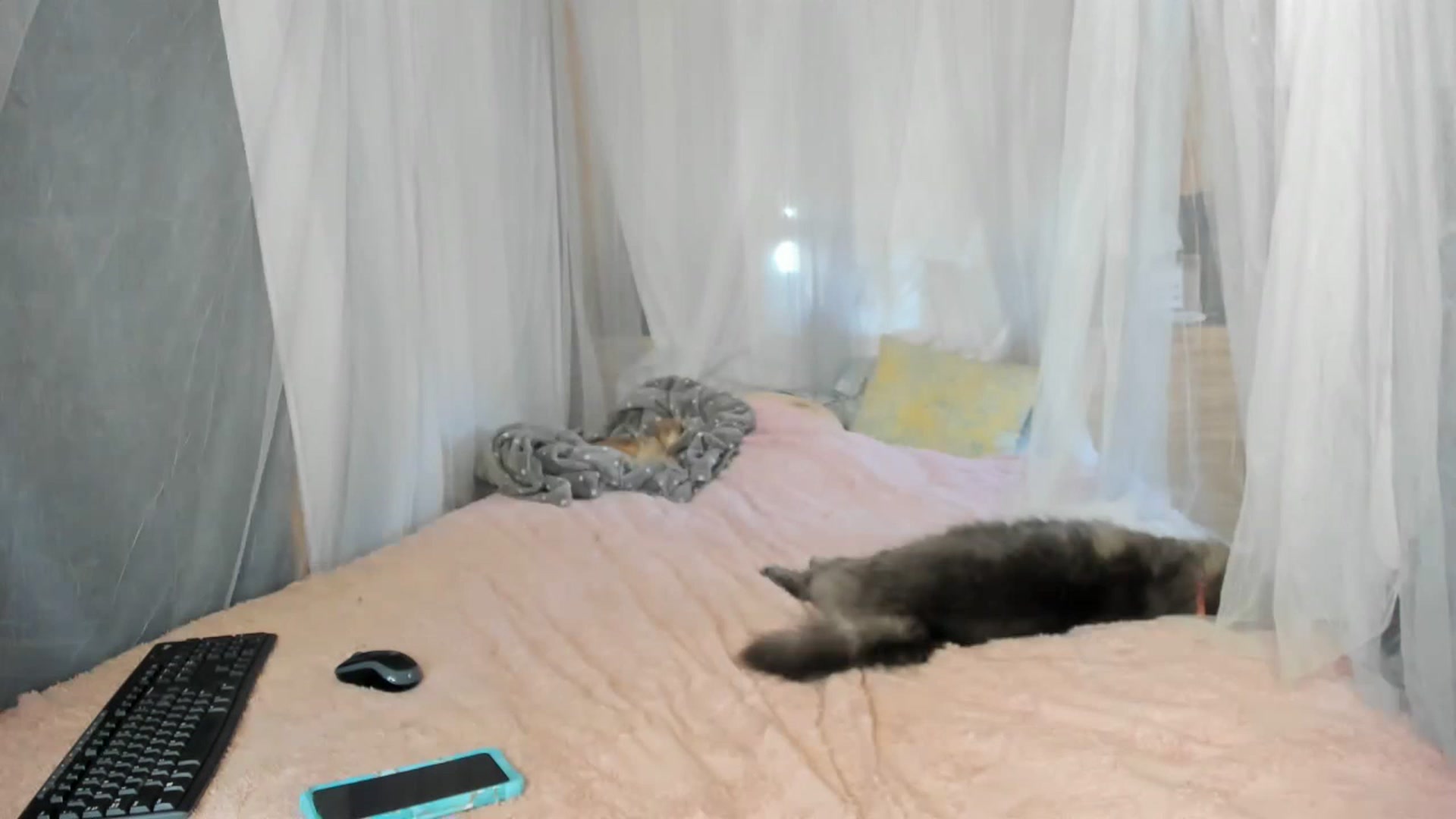 Gallery image thumbnail from summer4413's myfreecams stream on, 02/13/2023, 17:44 image 20 of 20