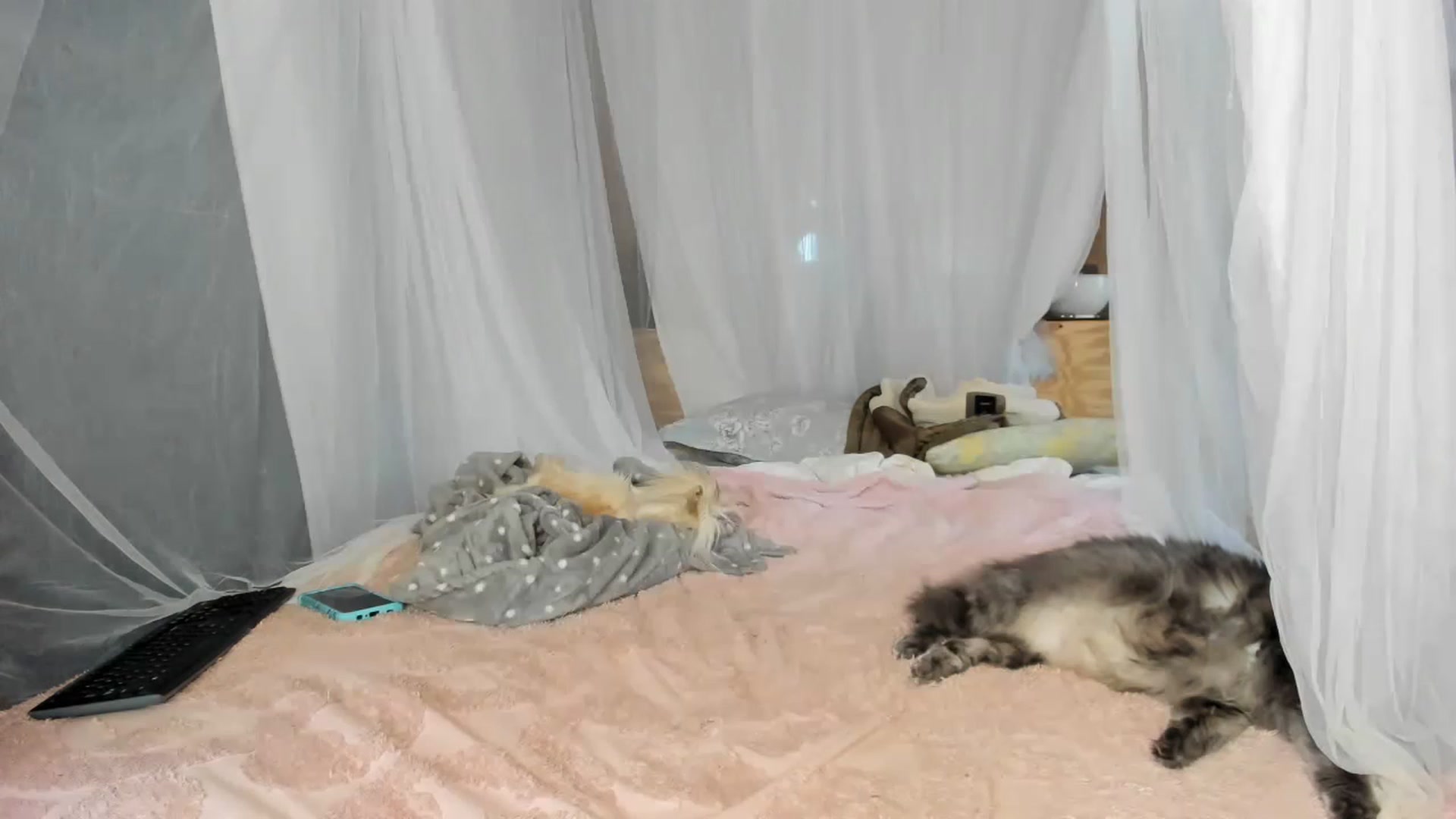 Gallery image thumbnail from summer4413's myfreecams stream on, 03/12/2023, 17:32 image 16 of 20