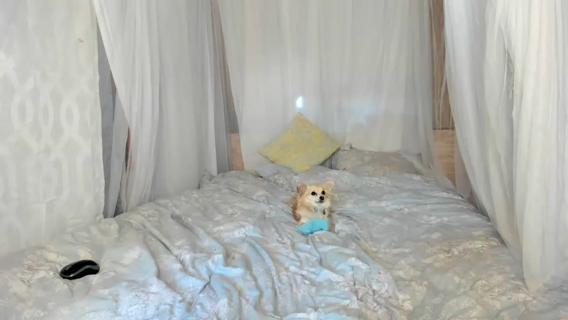 Gallery image thumbnail from summer4413's myfreecams stream on, 03/29/2023, 14:23 image 3 of 20