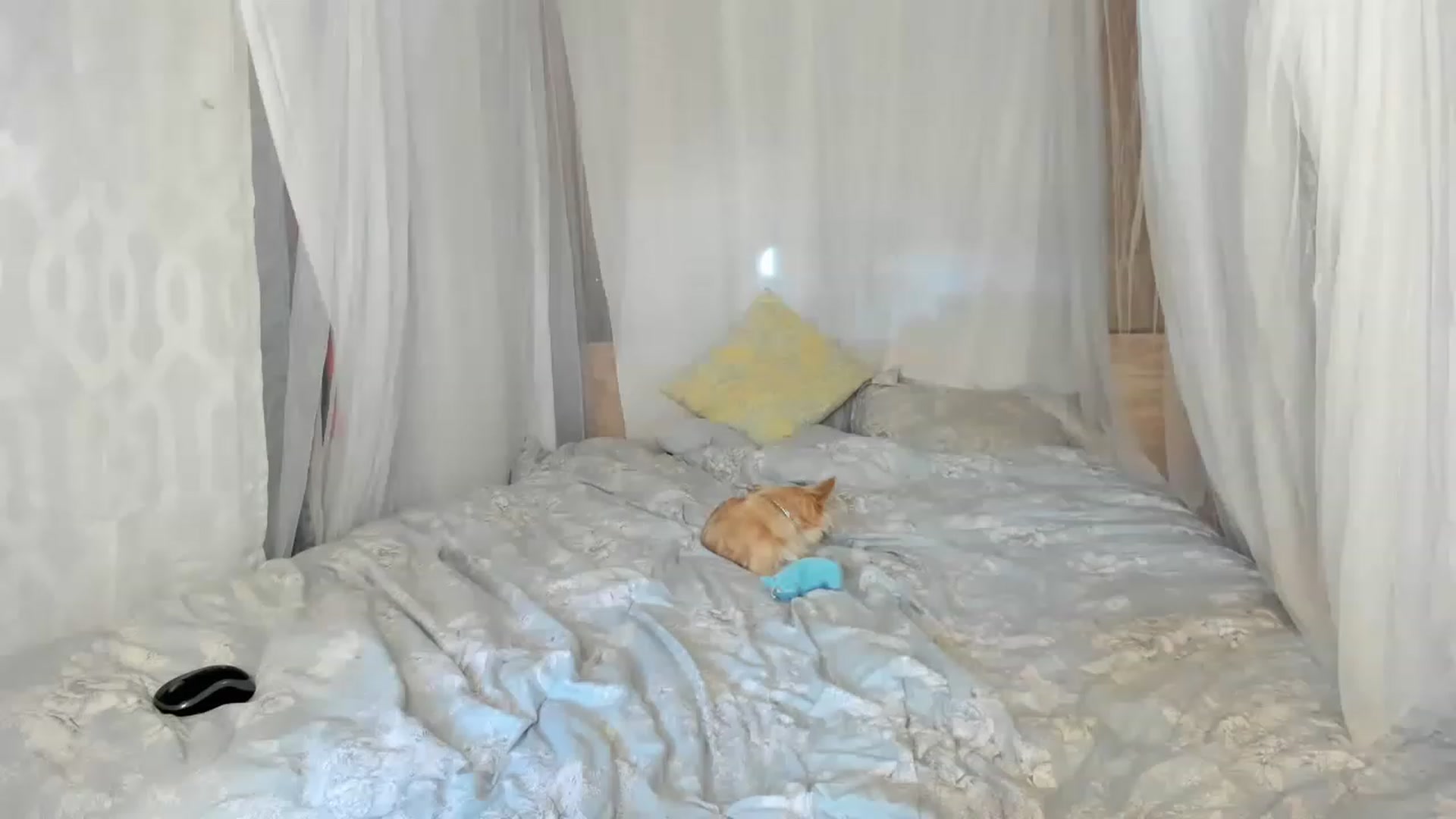 Gallery image thumbnail from summer4413's myfreecams stream on, 03/29/2023, 14:23 image 4 of 20